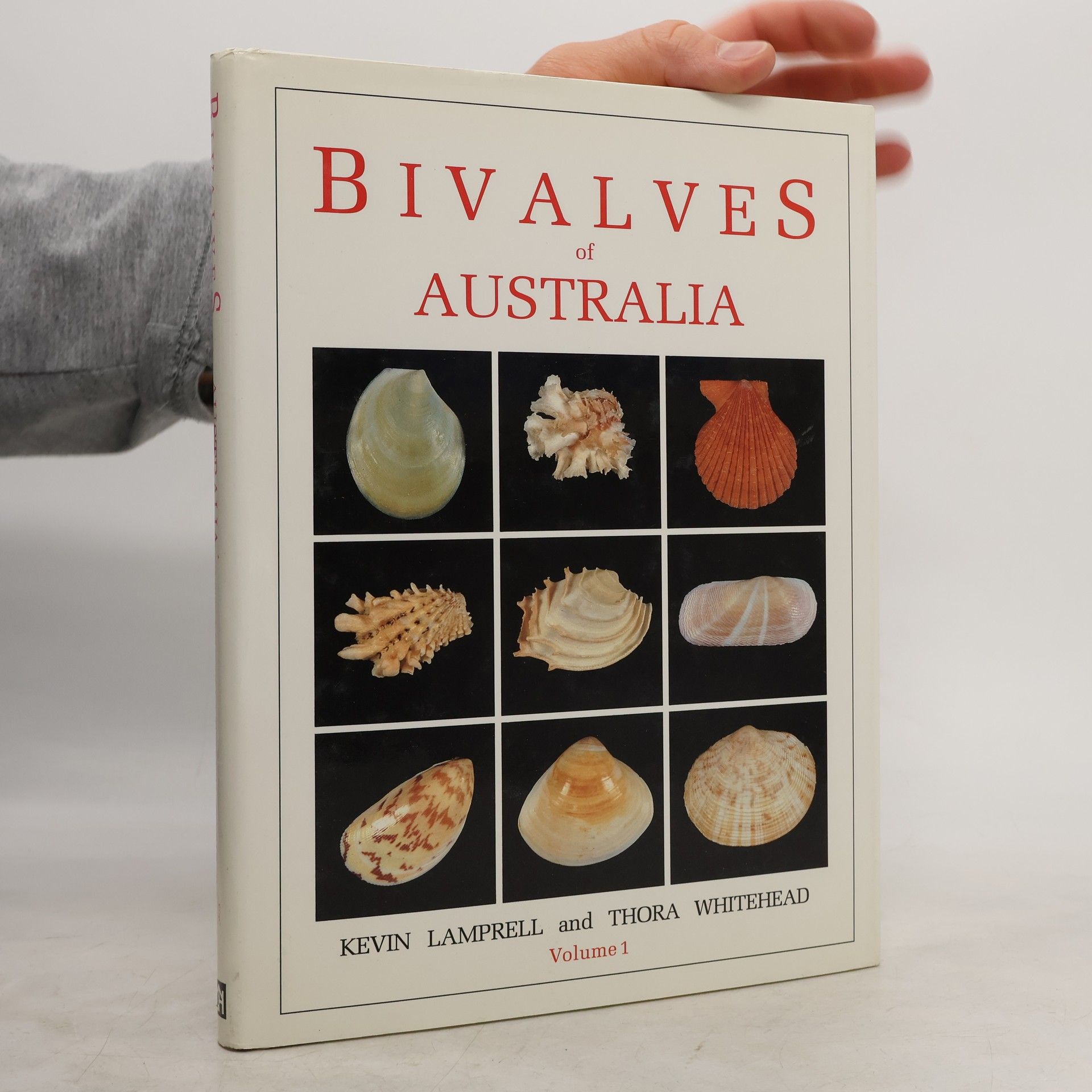 Kevin Lamprell Bivalves of Australia