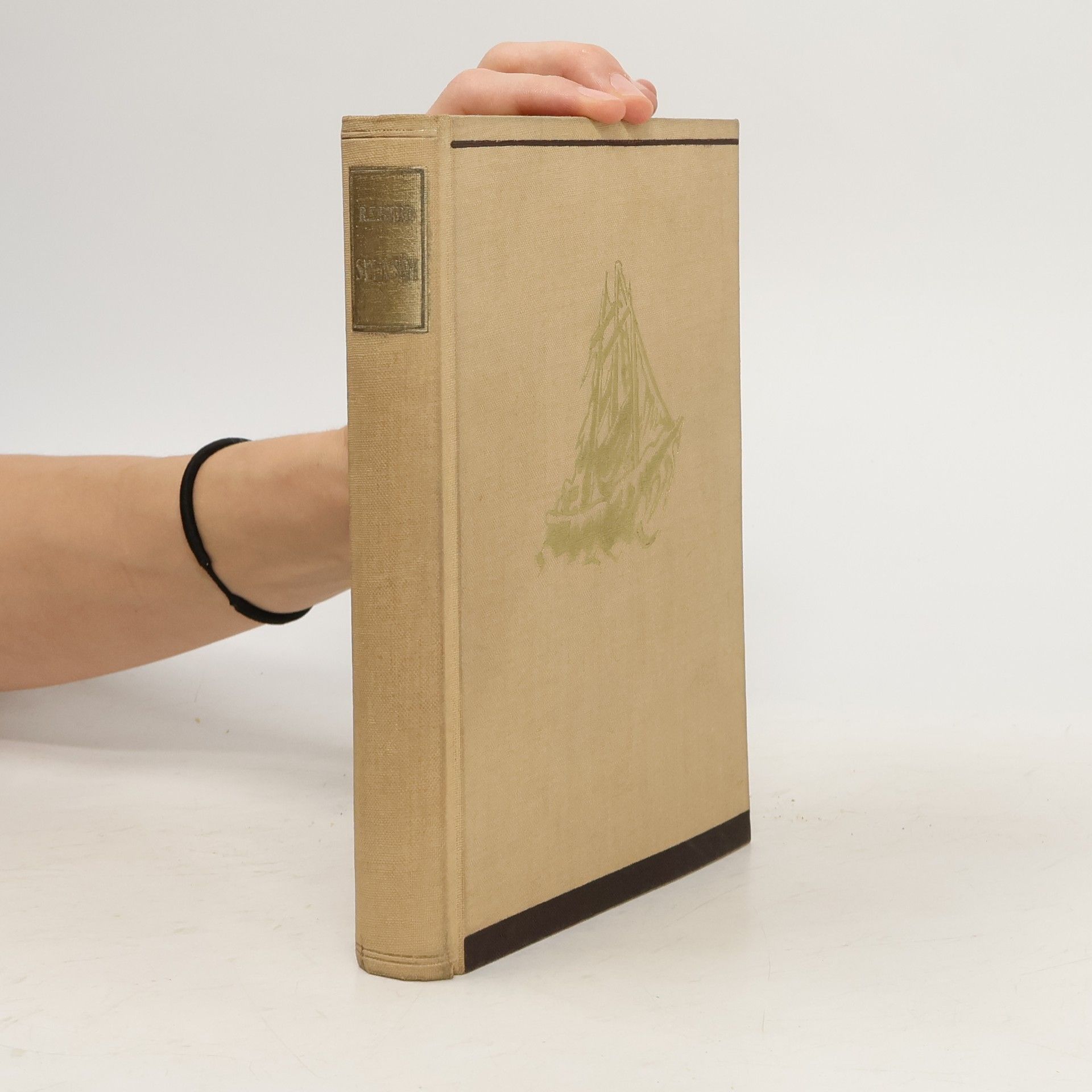 Richard Evelyn Byrd Sám a sám v ledových pustinách jižní točny