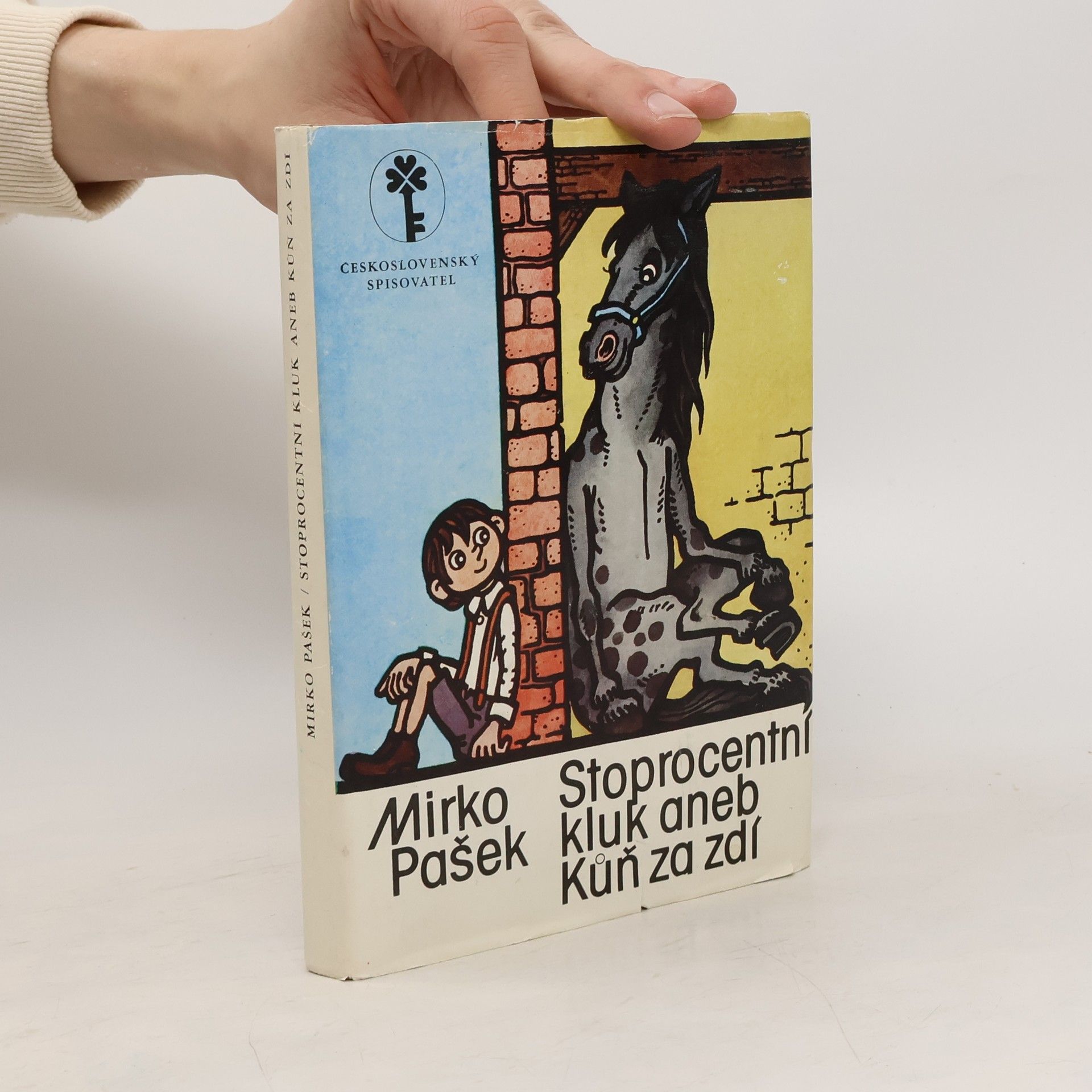 Mirko Pašek Stoprocentní kluk aneb Kůň za zdí