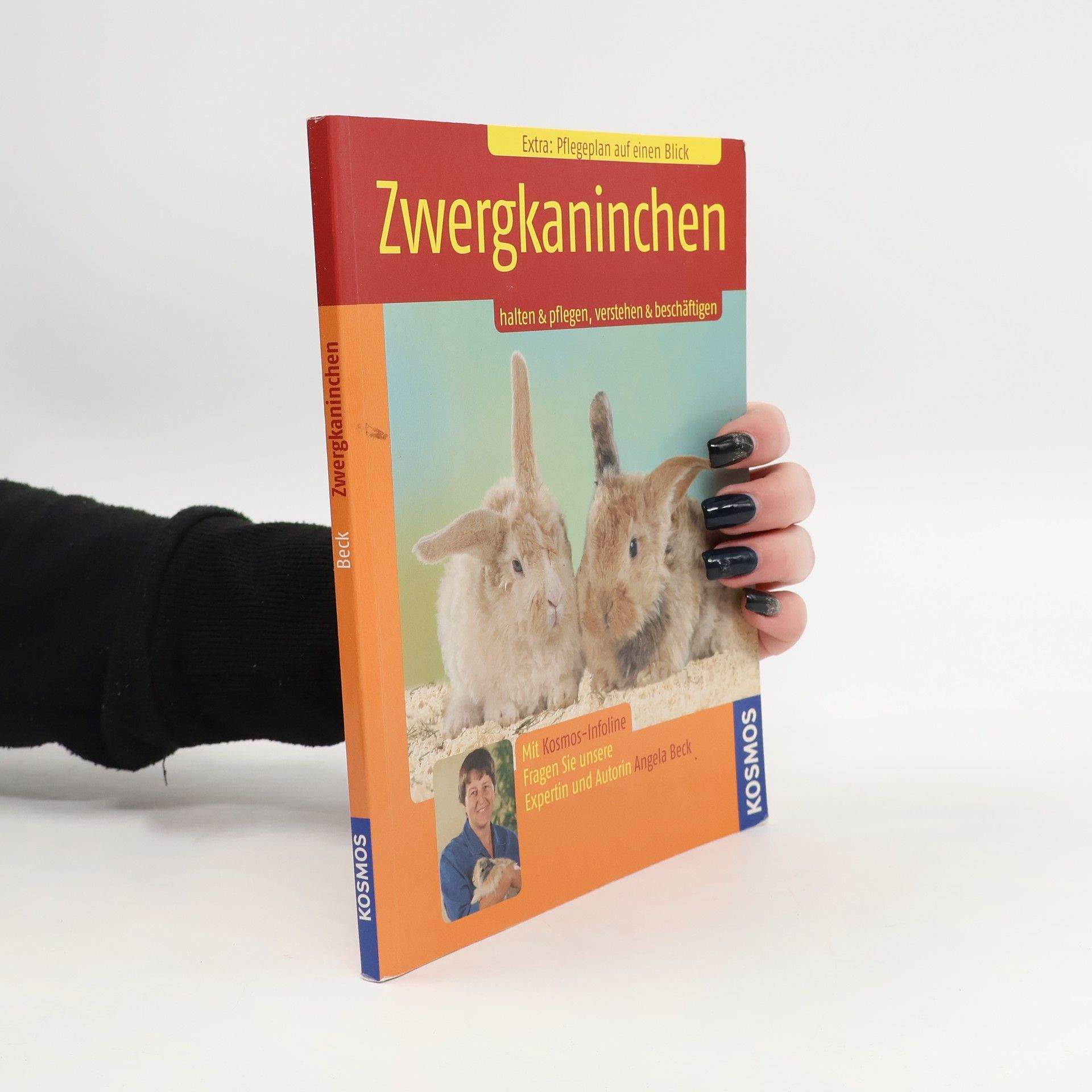 Angela Beck Zwergkaninchen