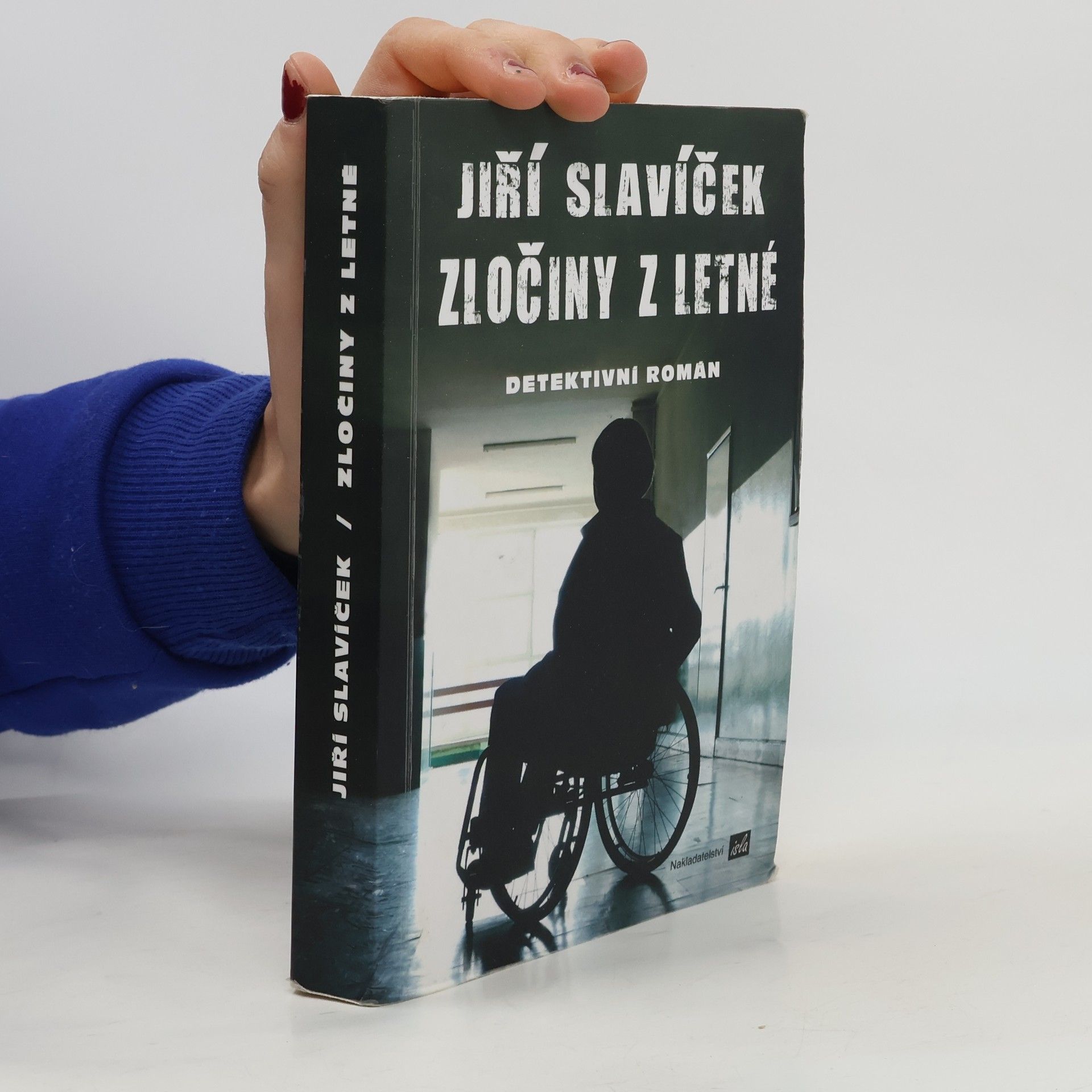 Zločiny z Letné : detektivní román