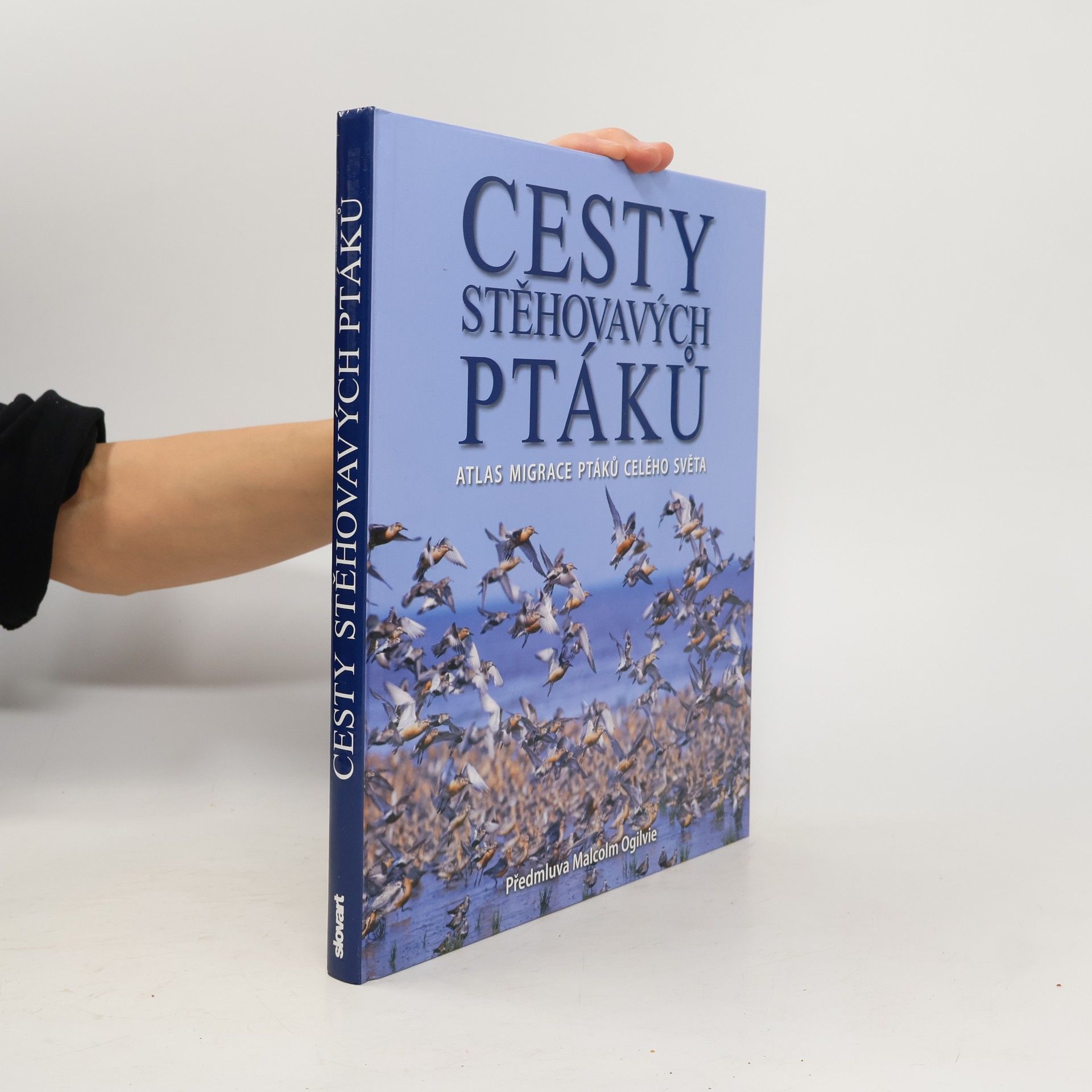 Cesty stěhovavých ptáků