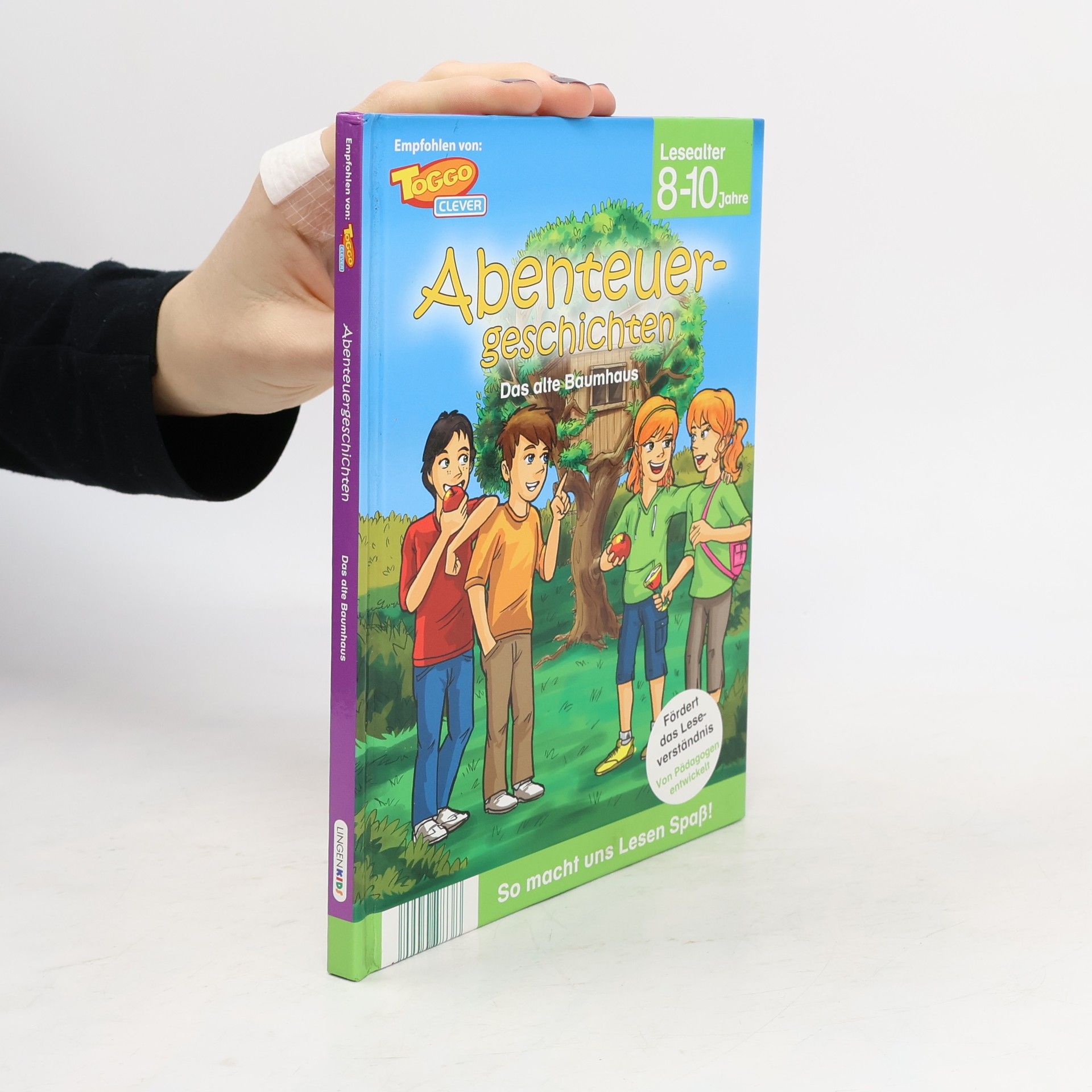 Autorenkollektiv Abenteuergeschichten. Das alte Baumhaus