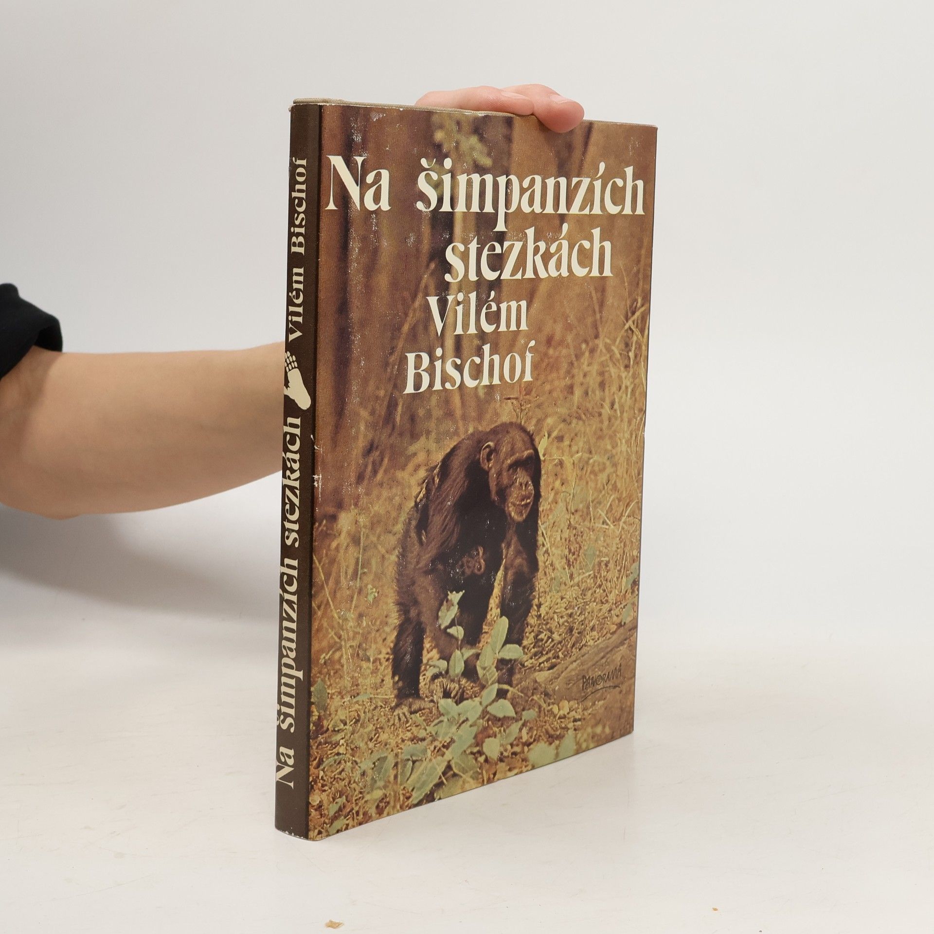 Na šimpanzích stezkách