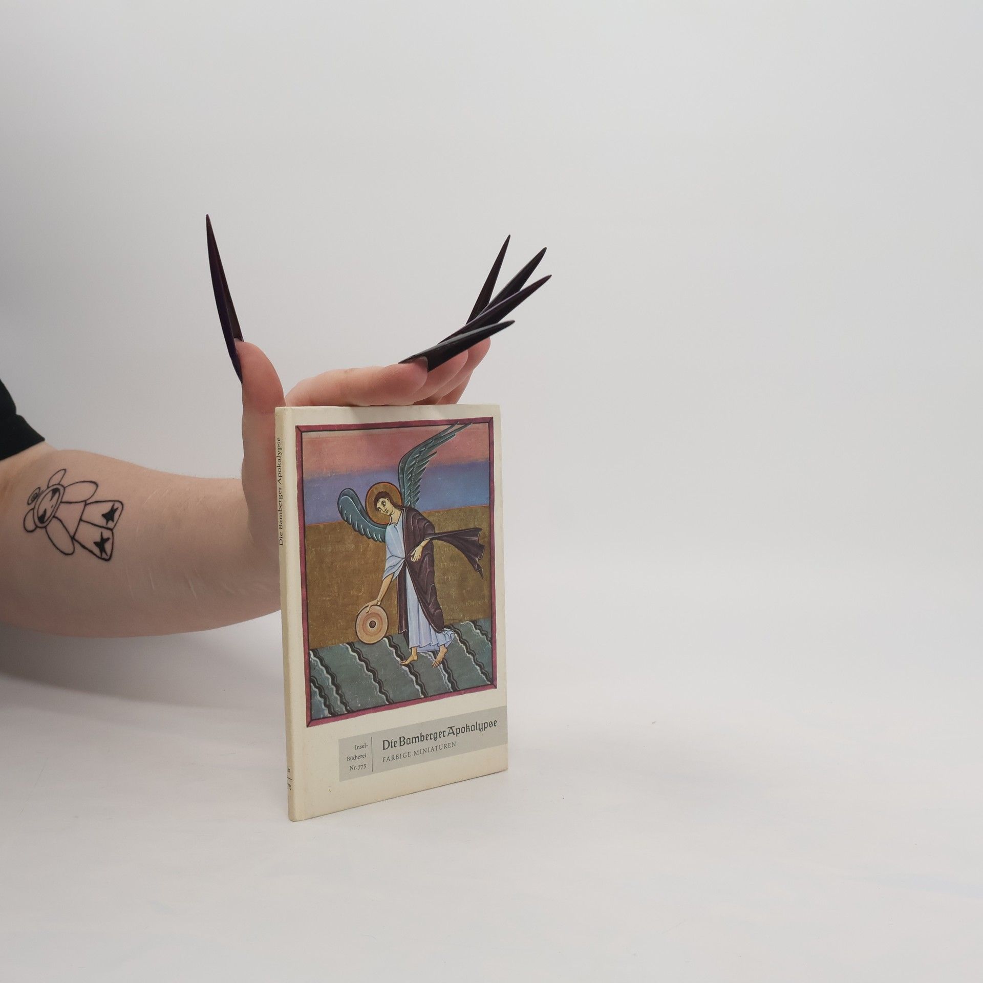 Auteurscollectief Die Bamberger Apokalypse