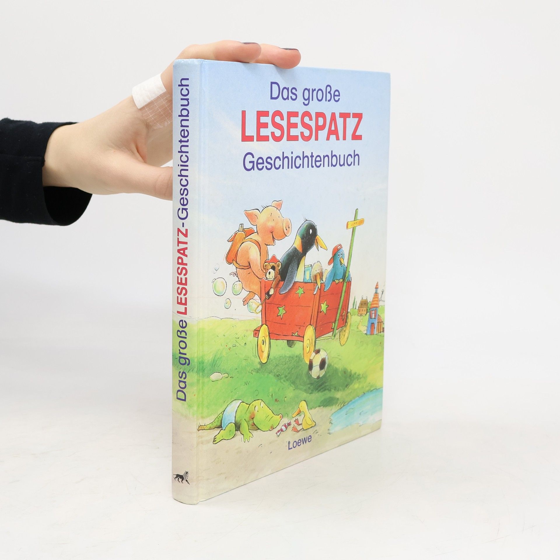 AA.VV. Das große Lesespatz-Geschichtenbuch