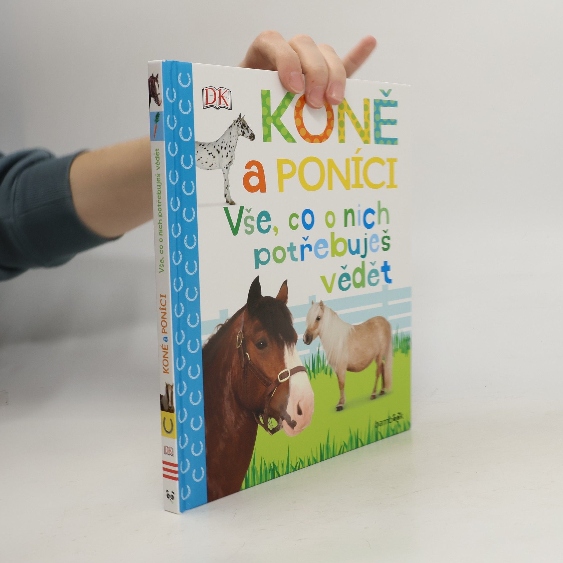 Andrea Mills Koně a poníci – Vše, co o nich potřebuješ vědět