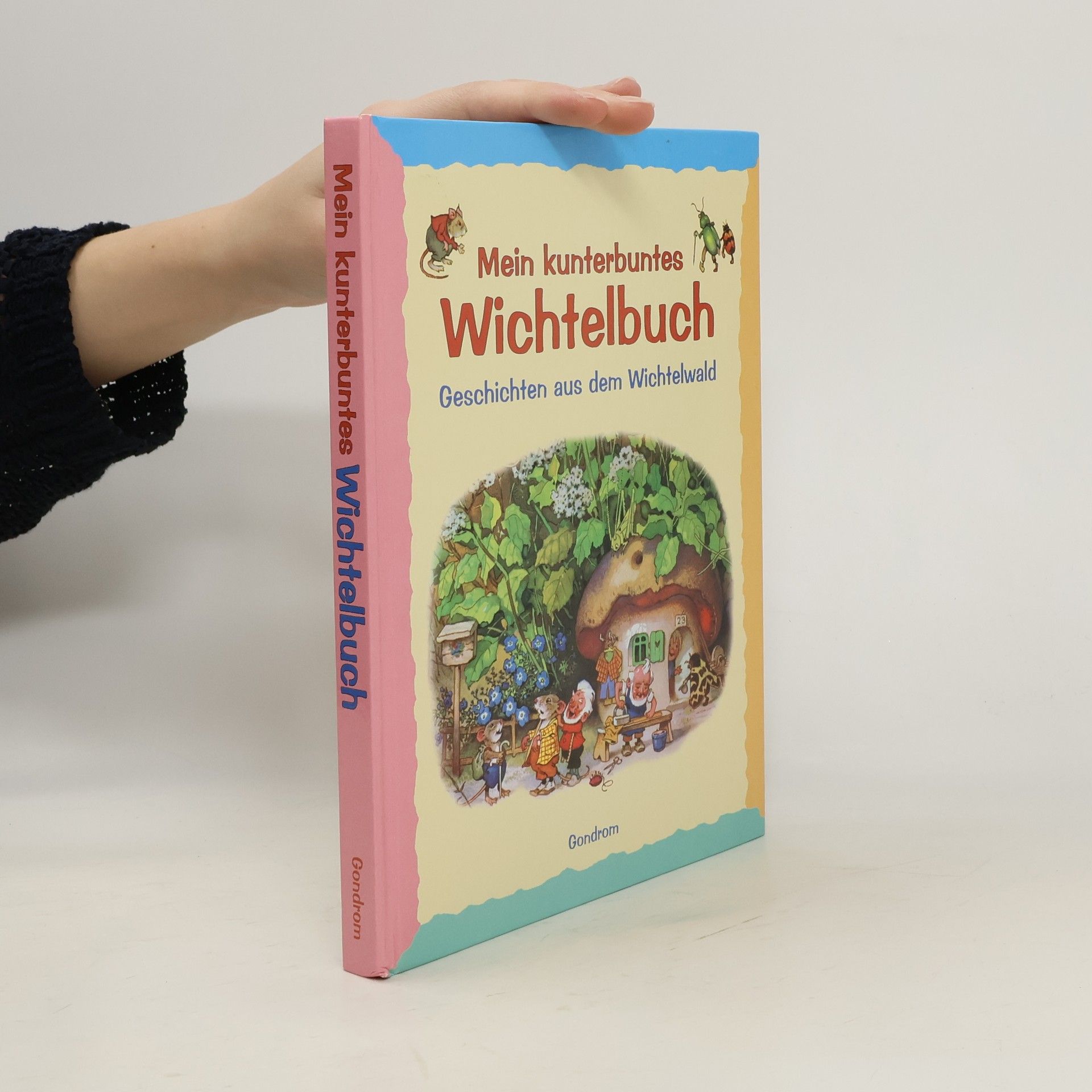 Collectif d'auteurs Mein grosses Wichtelbuch