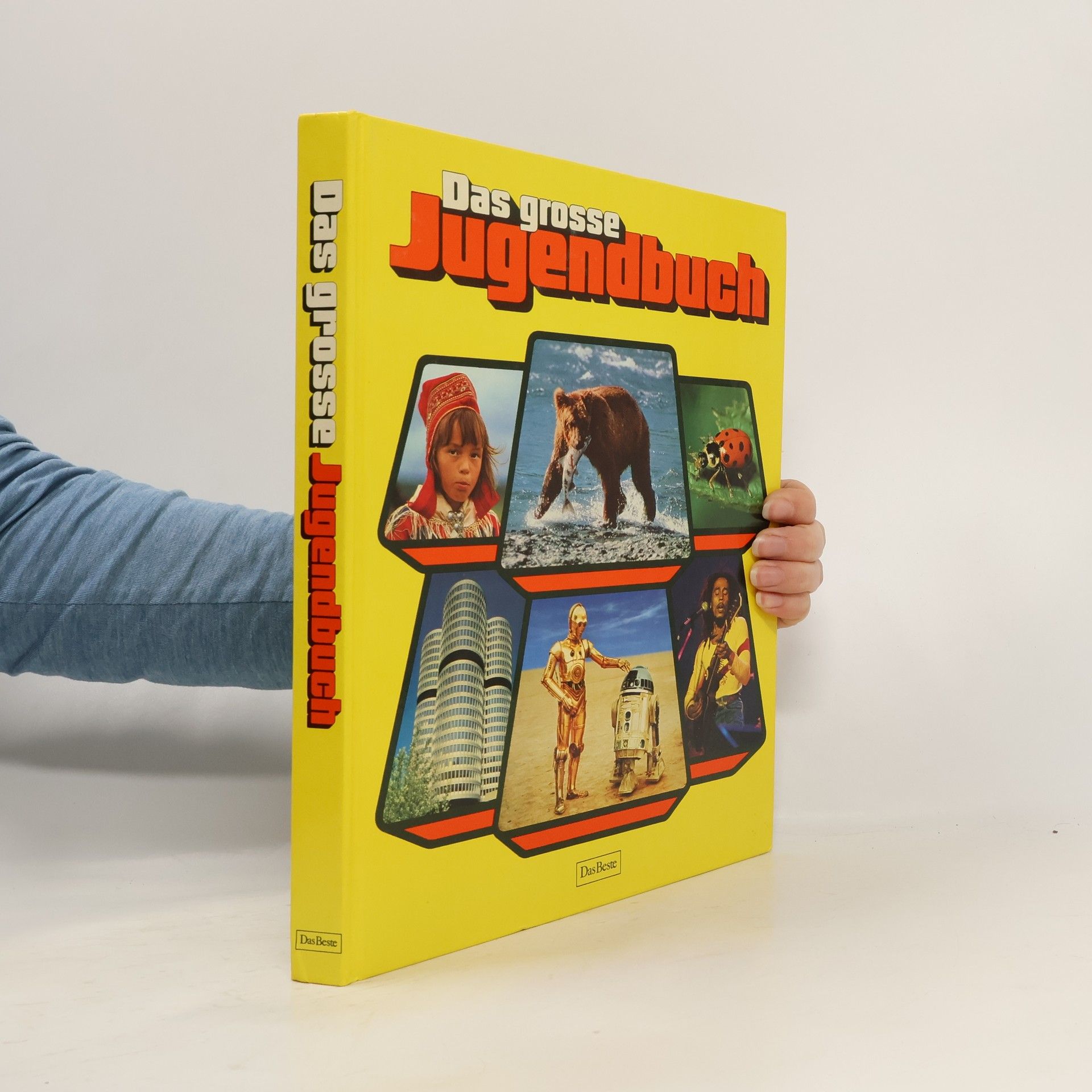 09 a83 Das grosse jugendbuch