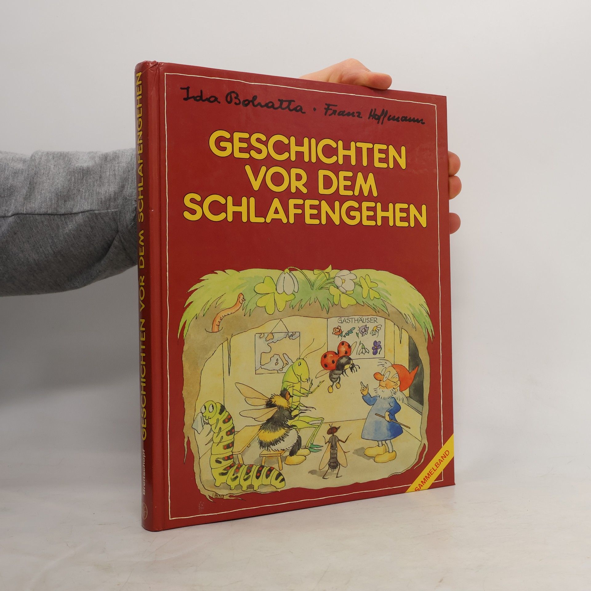 Various authors Geschichten vor dem Schlafengehen