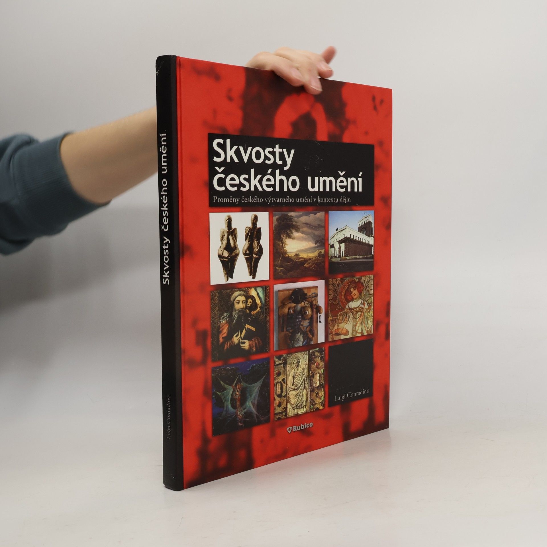 Luigi Contadino Skvosty českého umění : proměny českého výtvarného umění v kontextu dějin