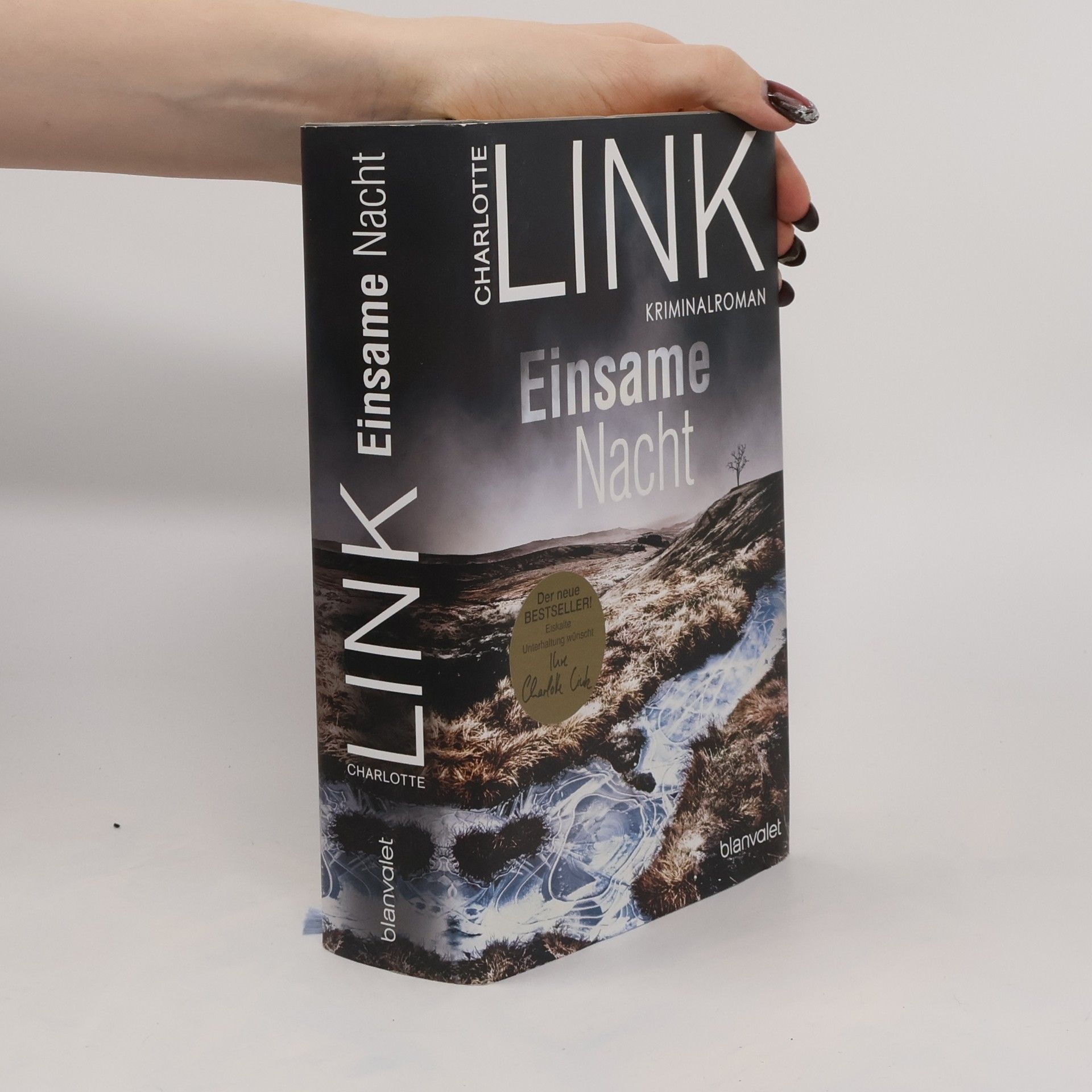 Charlotte Link Einsame Nacht