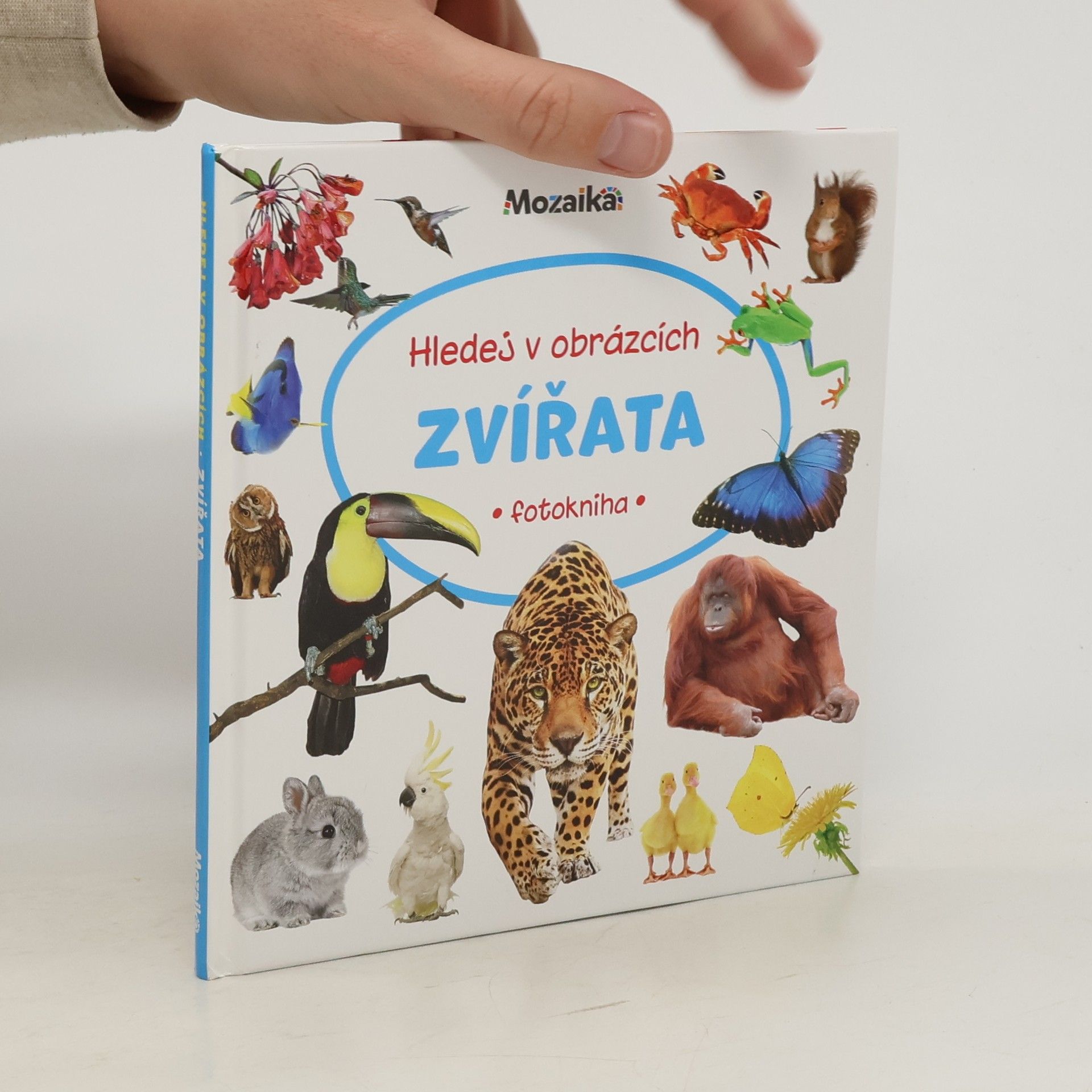 Collectif d'auteurs Hledej v obrázcích: Zvířata (fotokniha)