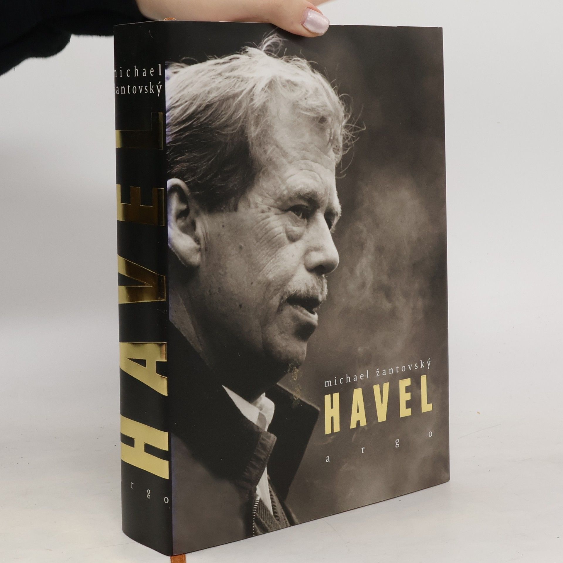 Michael Žantovský Havel