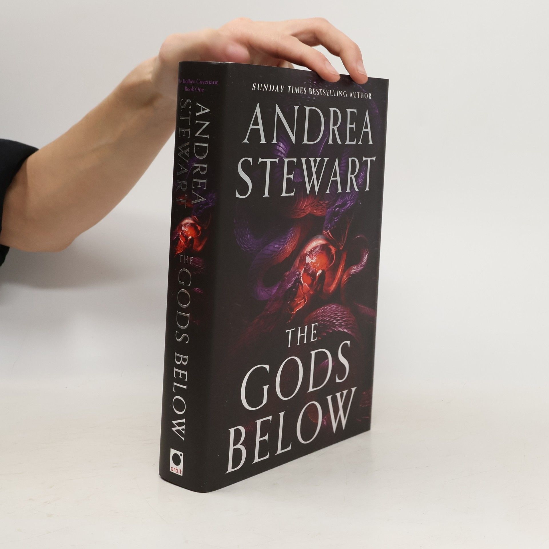 Andrea Stewart The Gods Below