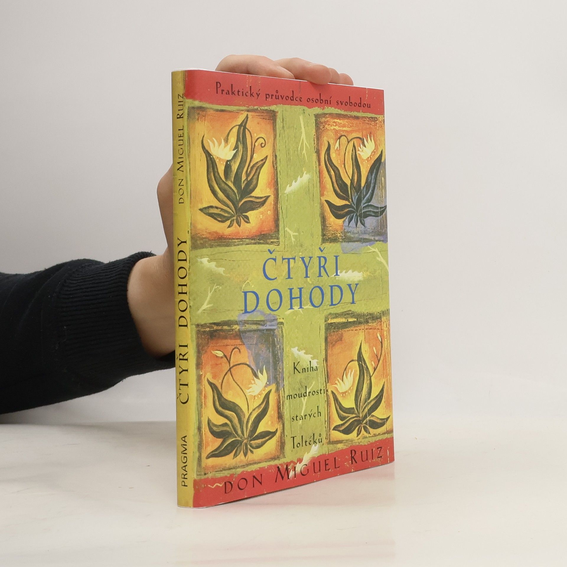 Don Miguel Ruiz Čtyři dohody