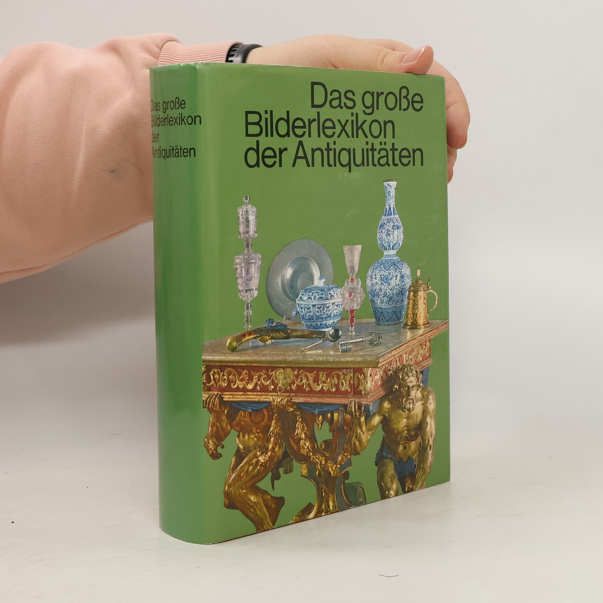 Kolektiv autorů Das große Bilderlexikon der Antiquitäten