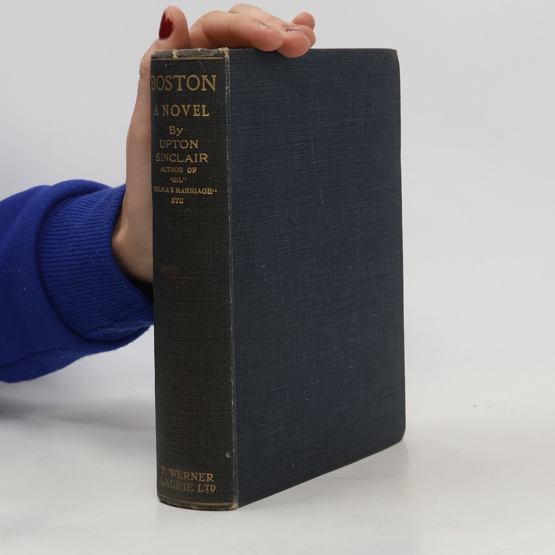 Upton Sinclair Mountain City