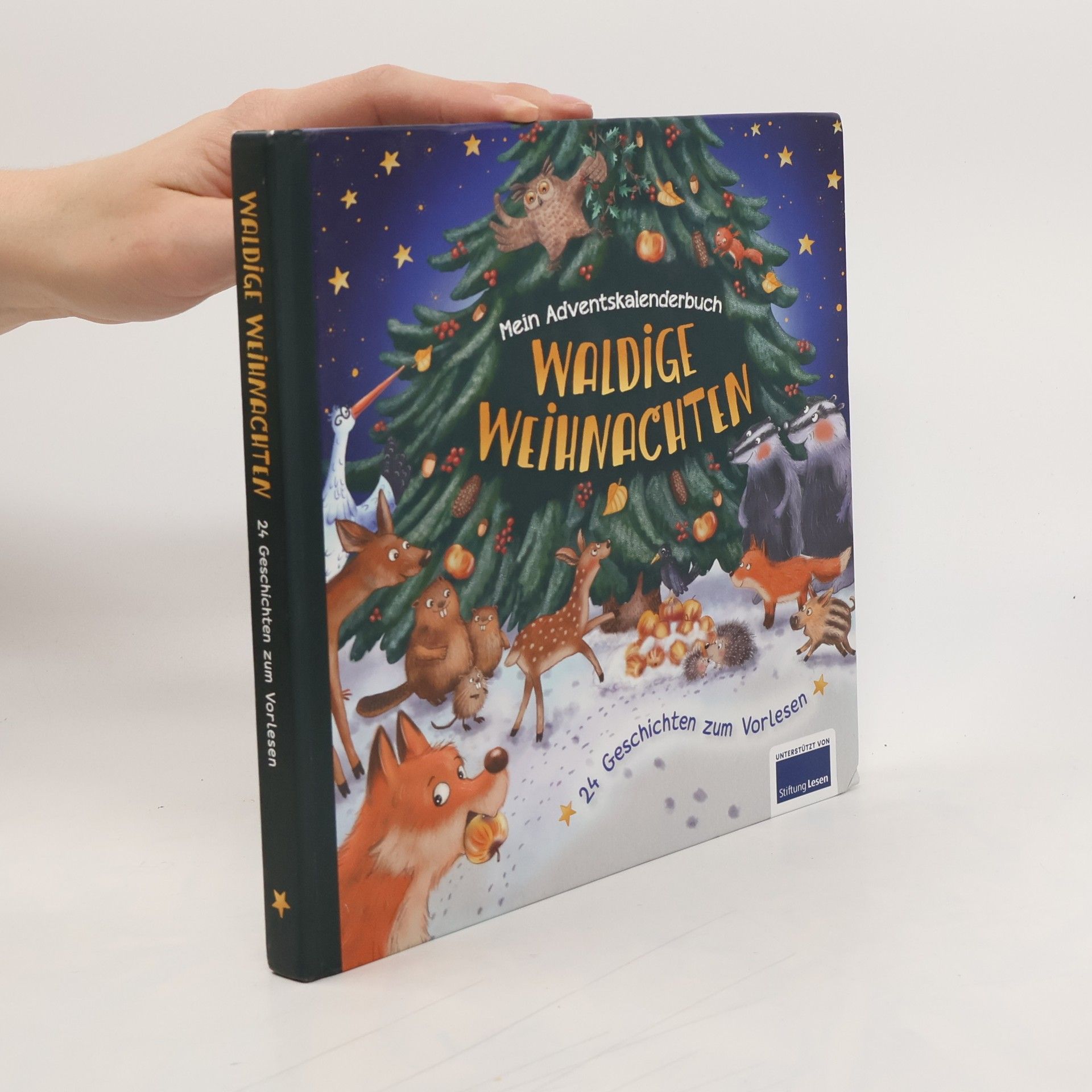 Autorenkollektiv Mein Adventskalenderbuch. Waldige Weihnachten