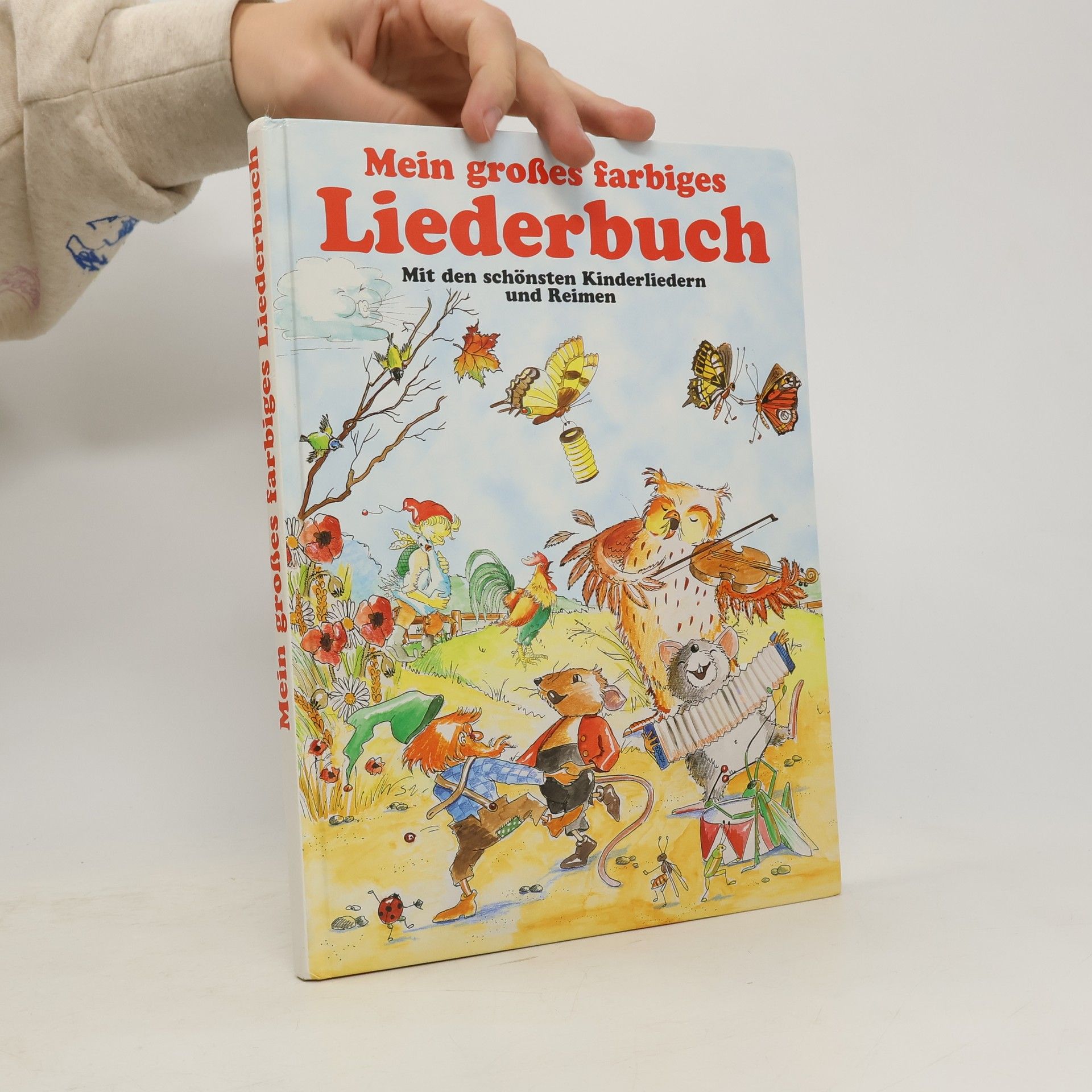 Autorenkollektiv Mein großes farbiges Liederbuch