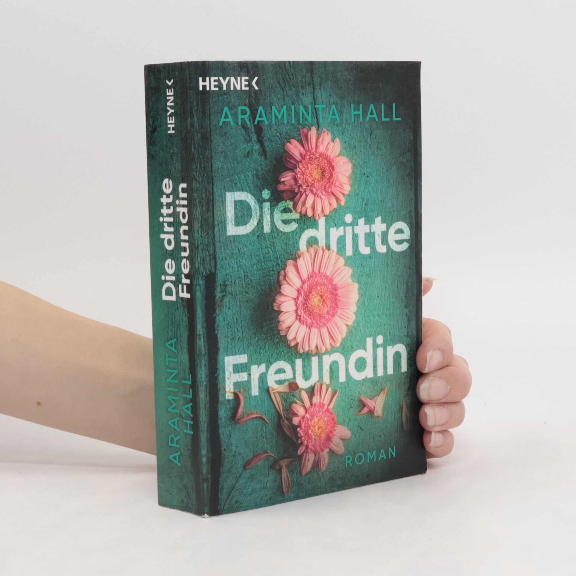 Araminta Hall Die dritte Freundin