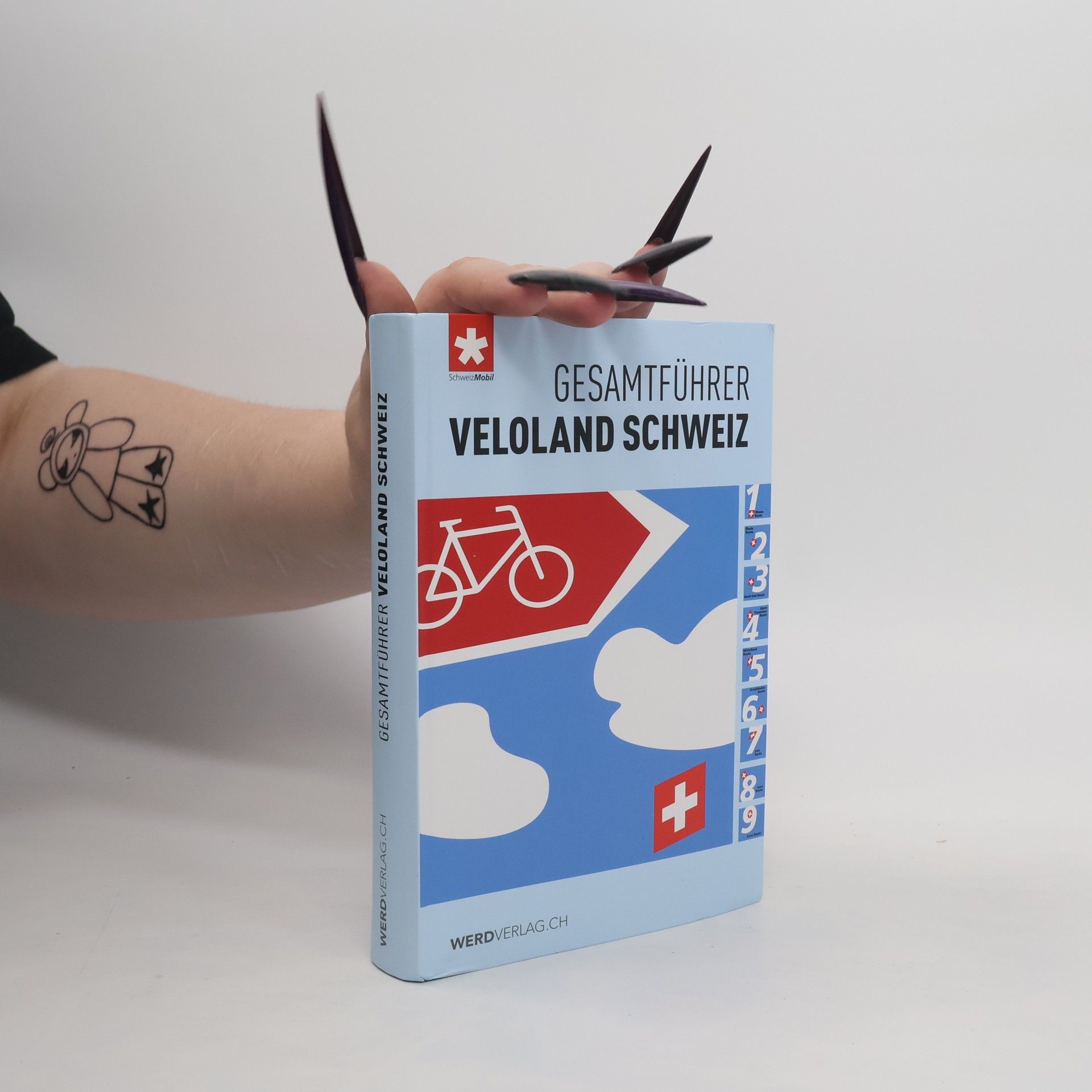 Autorenkollektiv Gesamtführer Veloland Schweiz