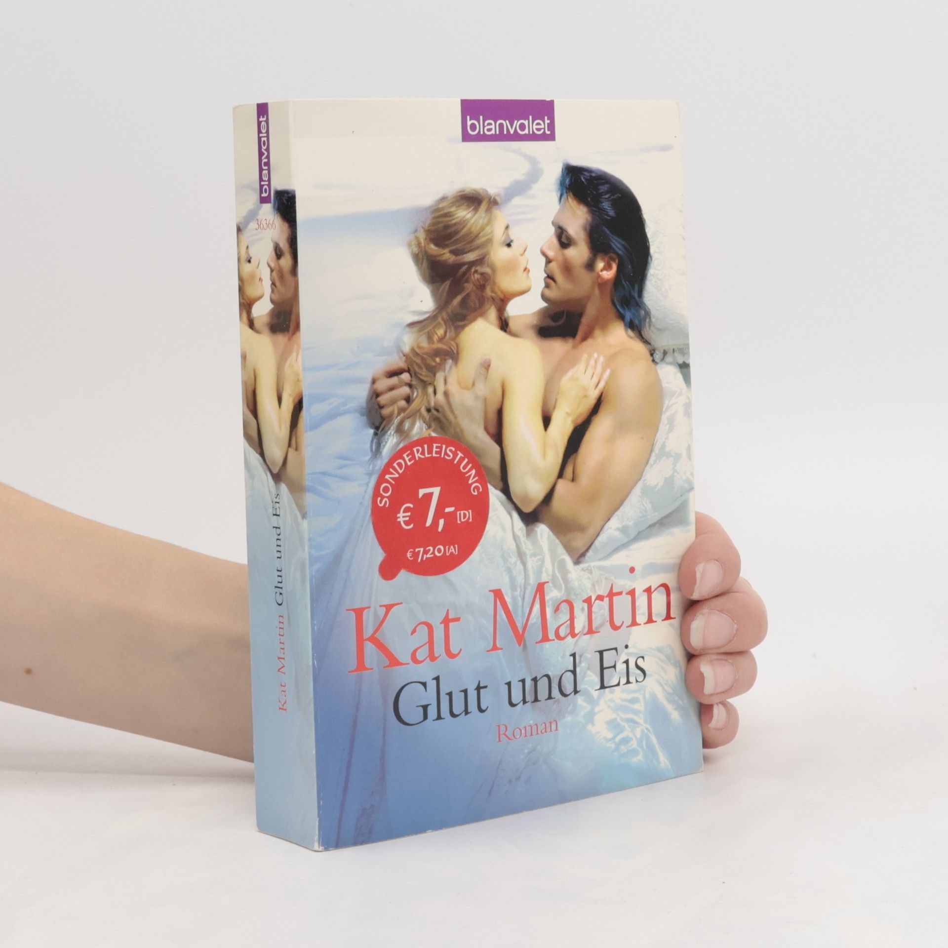 Kat Martin Glut und Eis. Roman