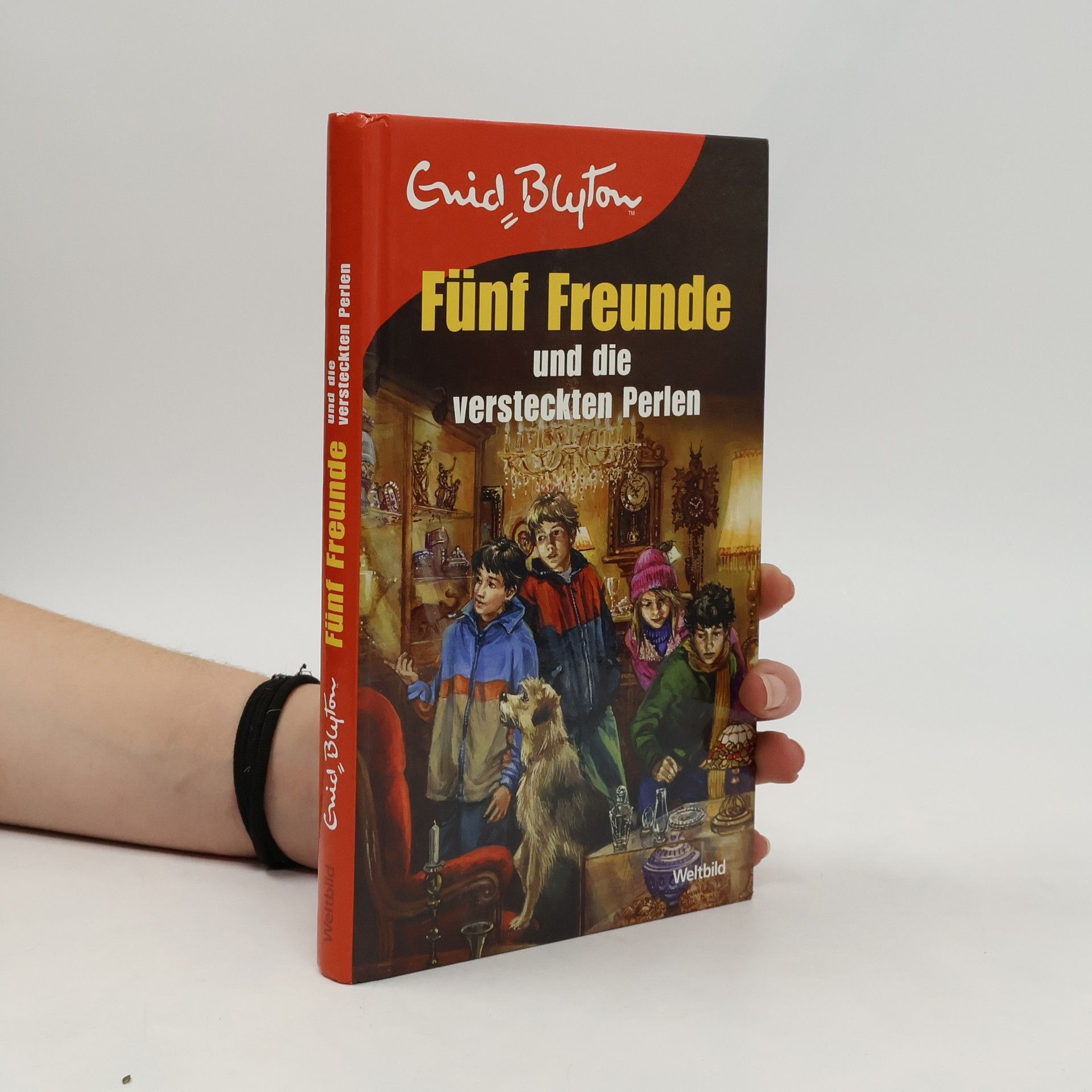 Enid Blyton Fünf Freunde und die verstecken Perlen