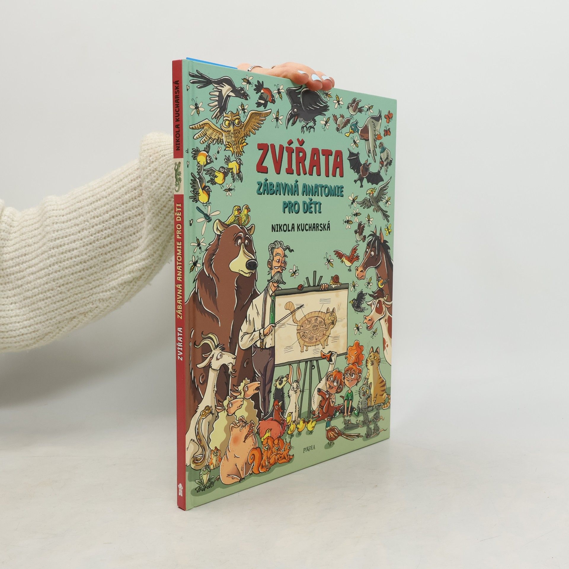 Zvířata: Zábavná anatomie pro děti
