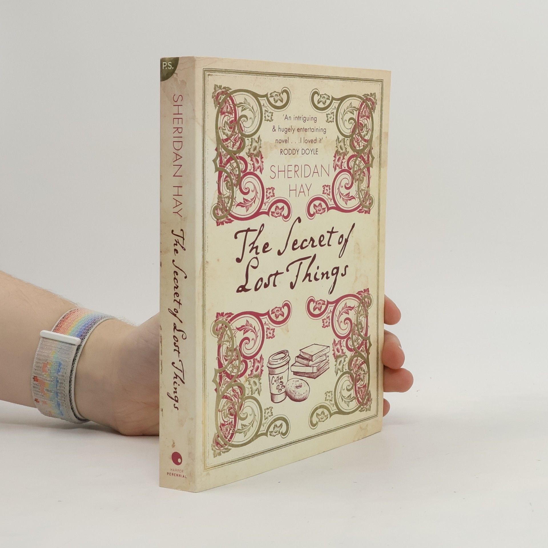 Sheridan Hay The Secret of Lost Things