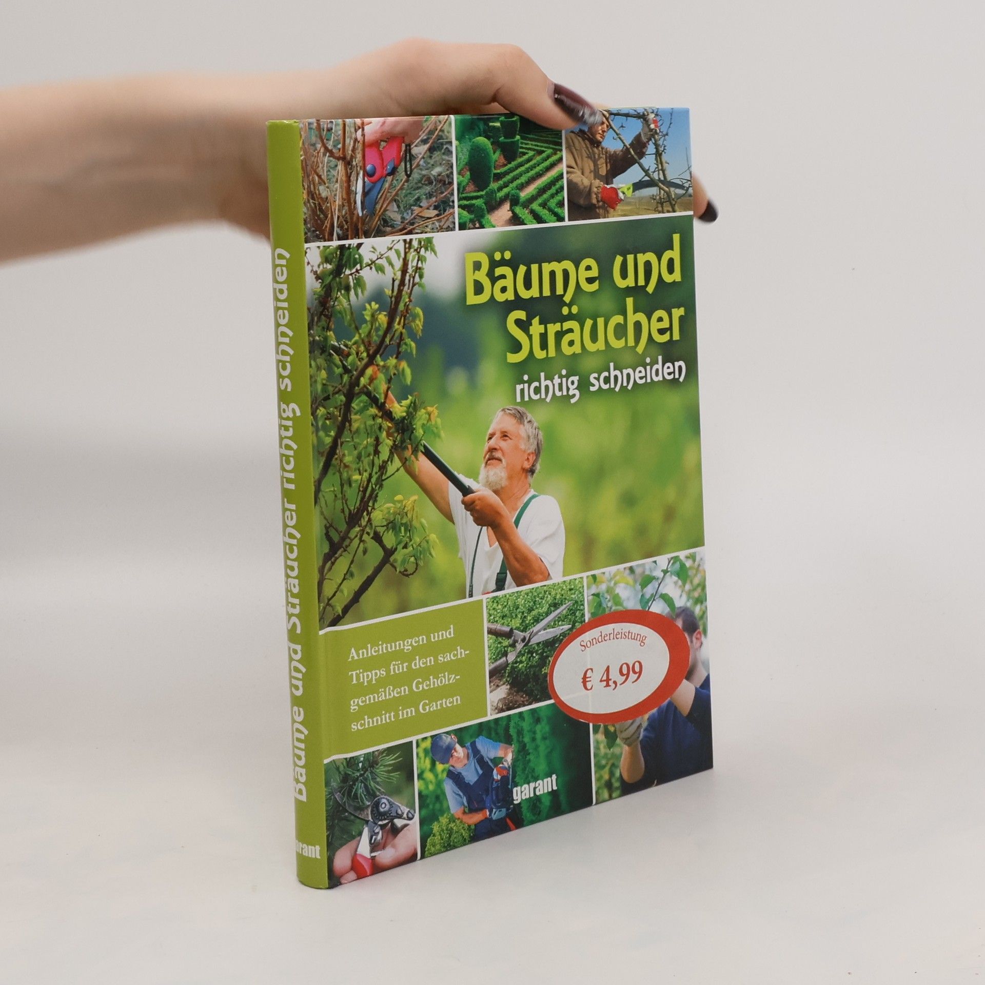 Bäume und Sträucher richtig schneiden