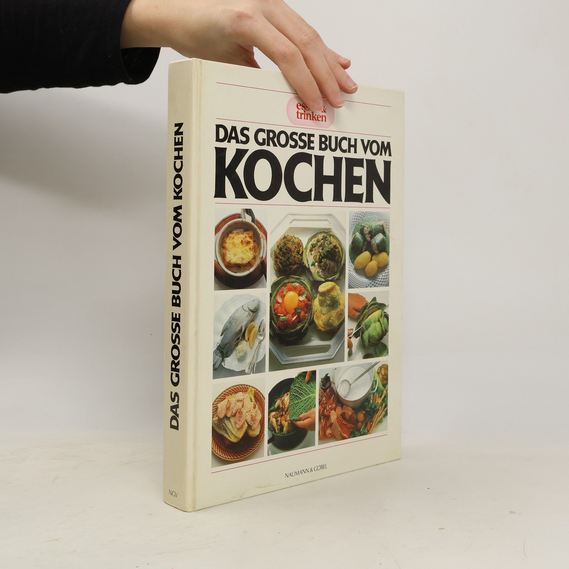 Autorenkollektiv Das Grosse Buch vom Kochen
