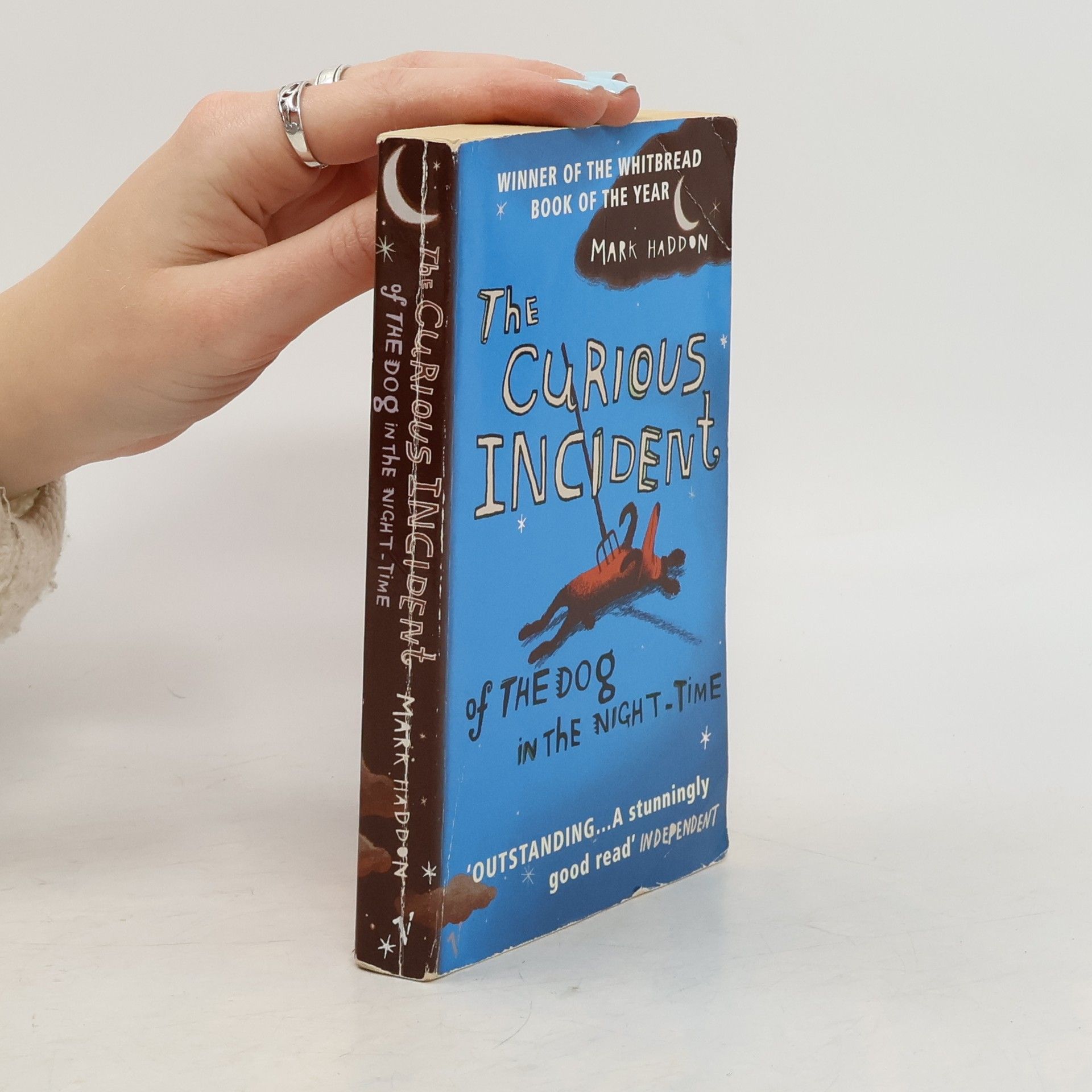 Mark Haddon The Curious Incident of The Dog in The Night-Time