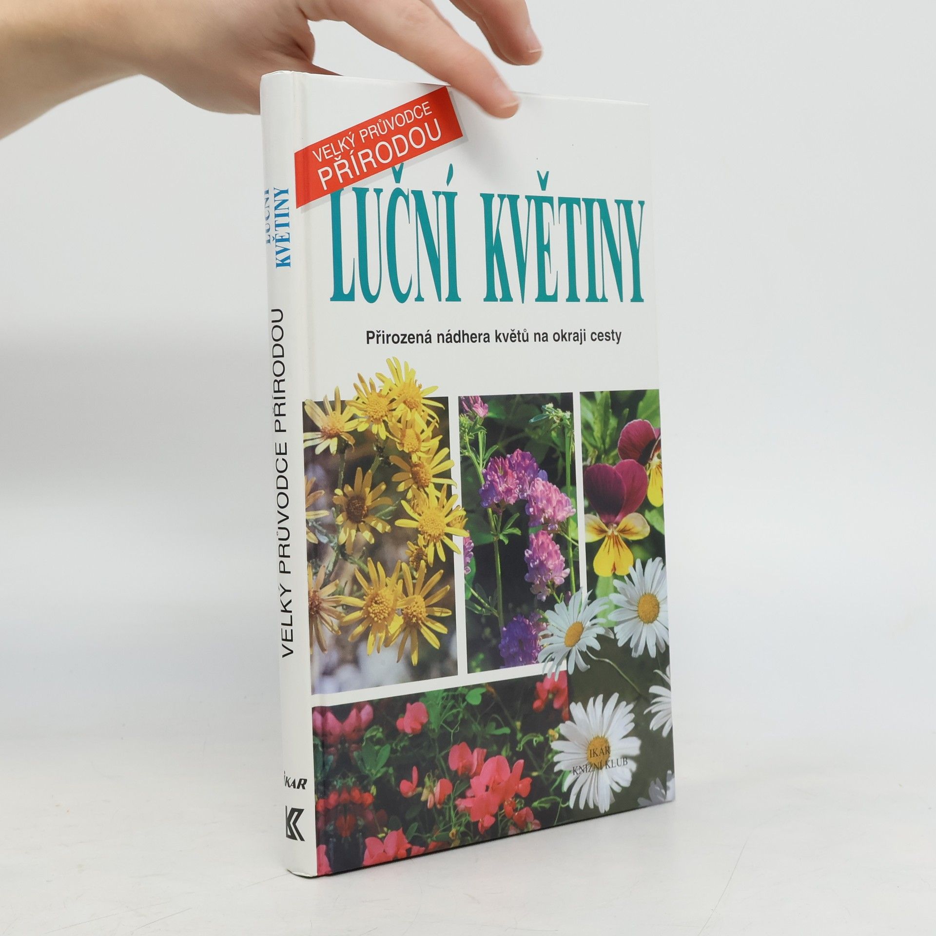 Maria Teresa Della Beffa Luční květiny: Přirozená nádhera květů na okraji cesty