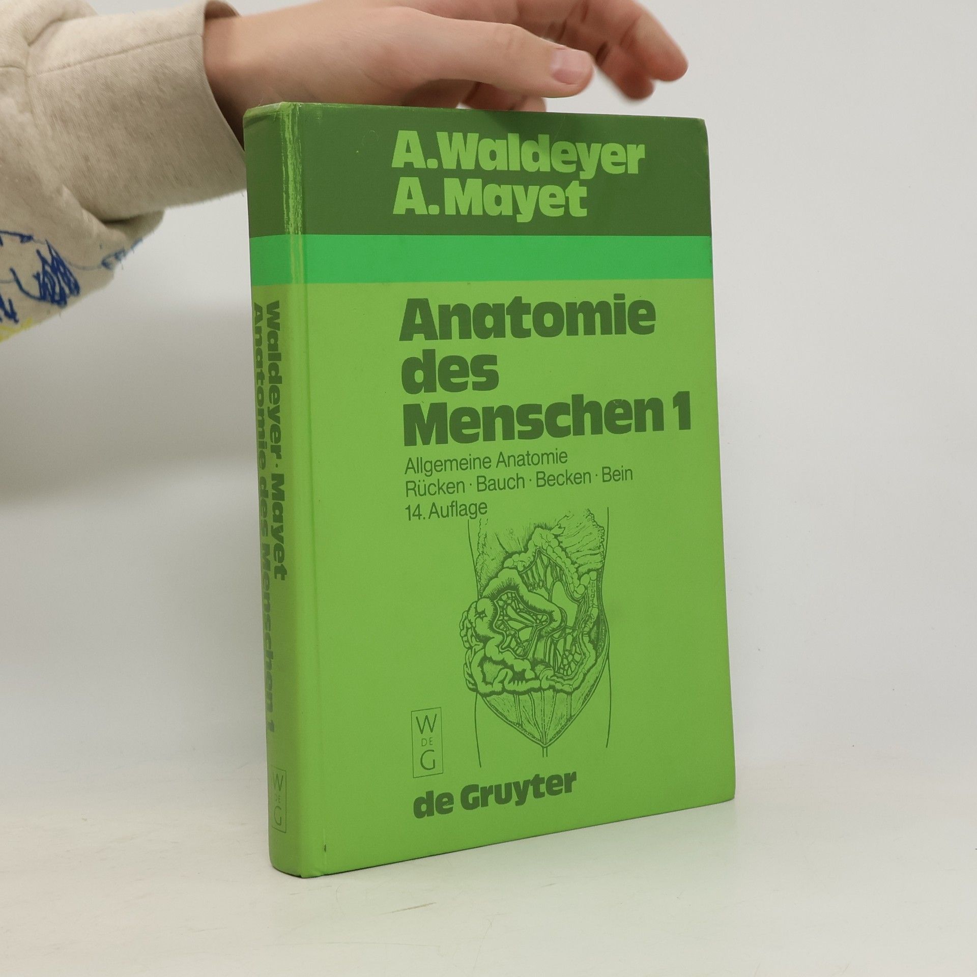 Anatomie des Menschen für Studierende und Ärzte I
