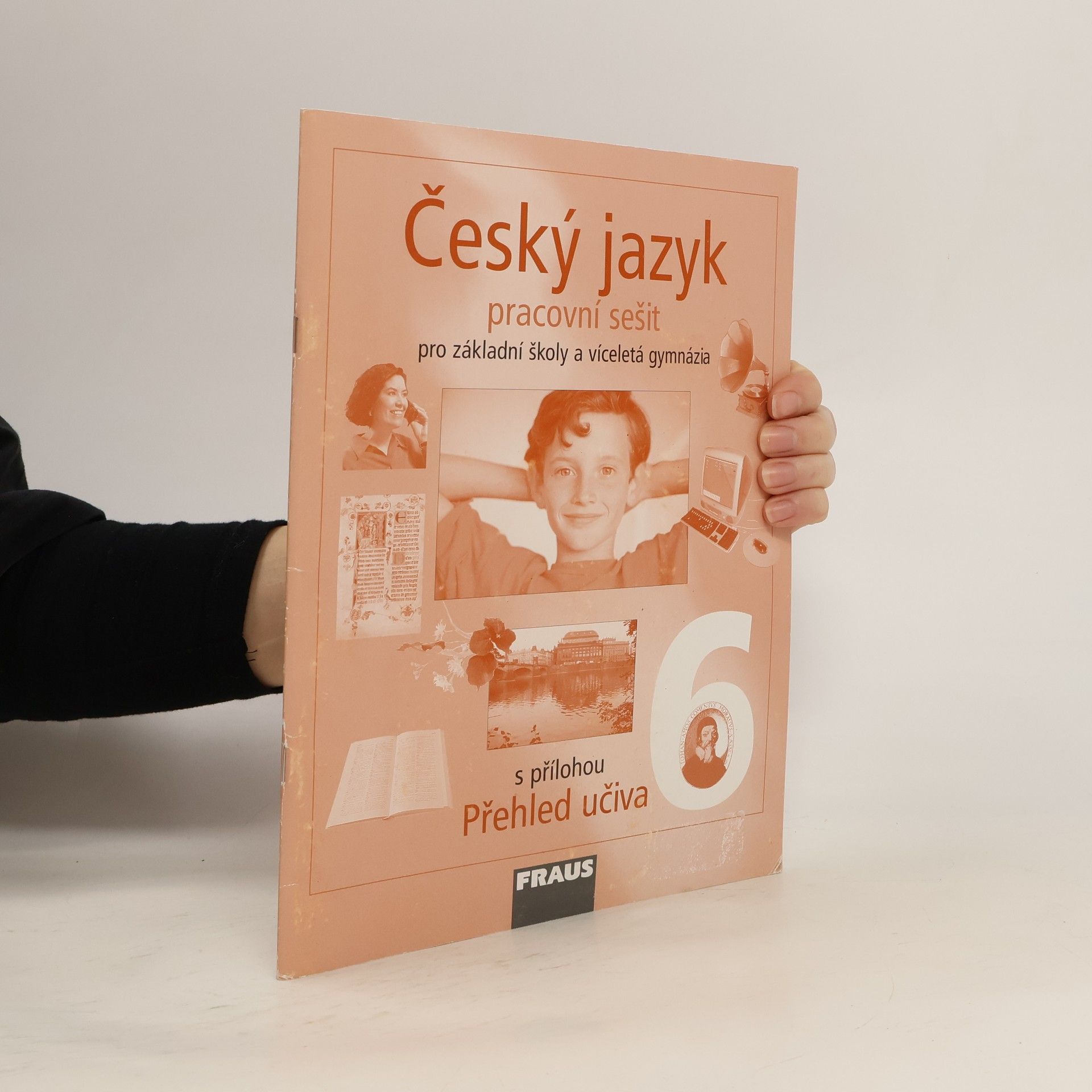 Český jazyk 6 pro základní školy a víceletá gymnázia. Pracovní sešit