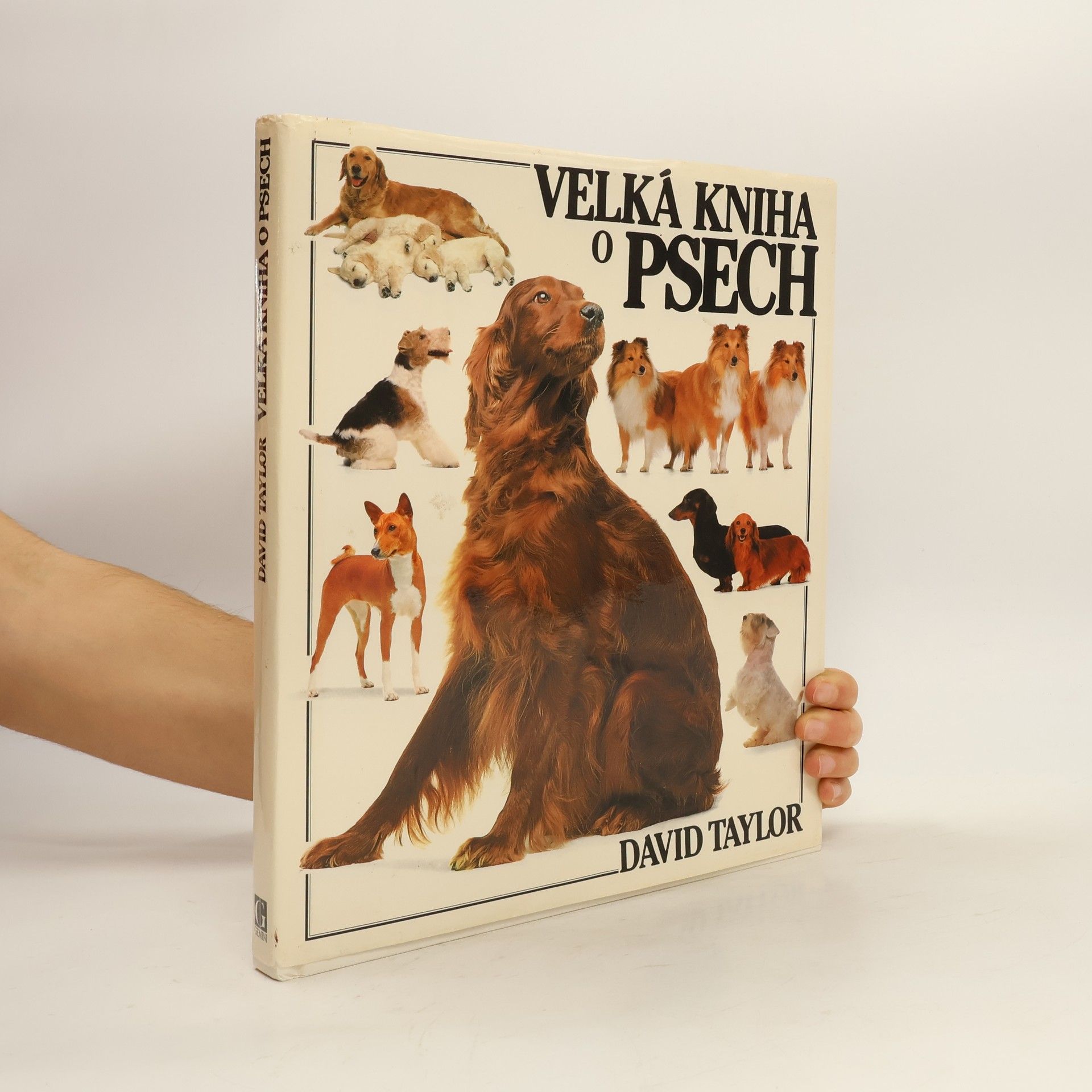 David Conrad Taylor Velká kniha o psech