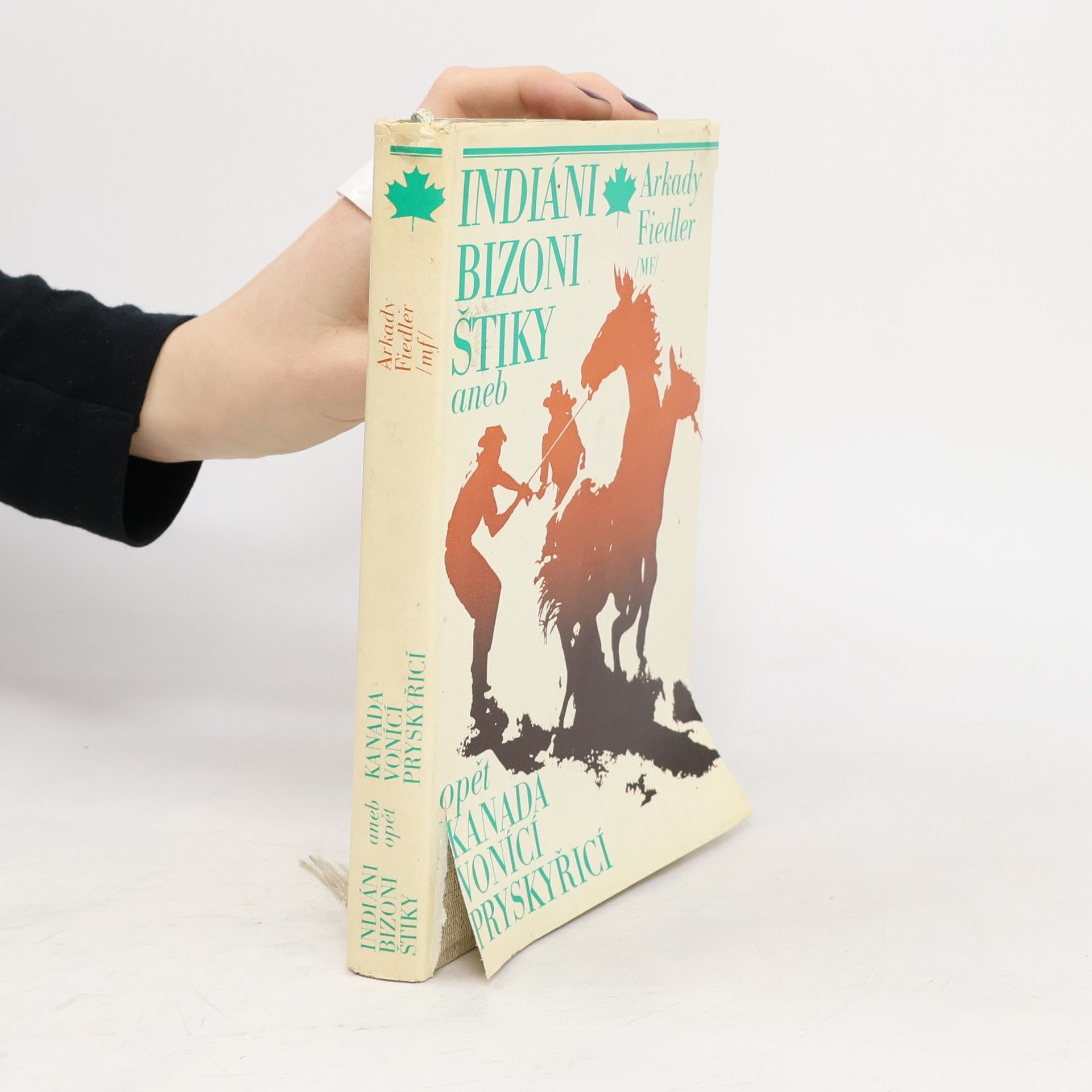 Indiáni, bizoni, štiky aneb opět Kanada vonící pryskyřicí