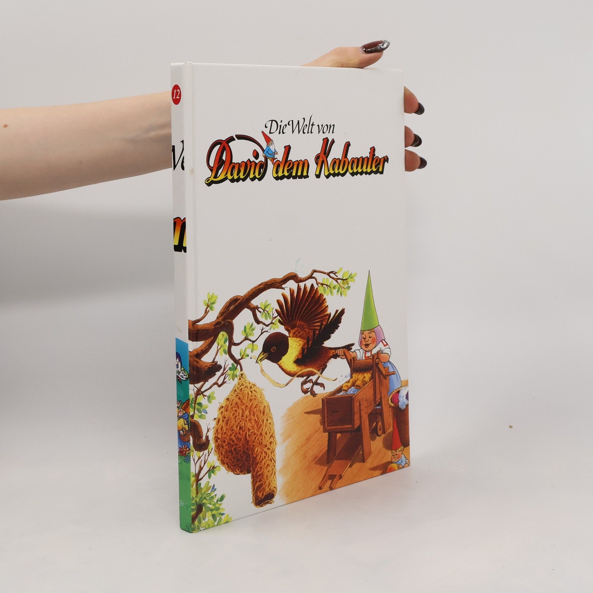 Autorenkollektiv Die Welt von David dem Kabauter 12