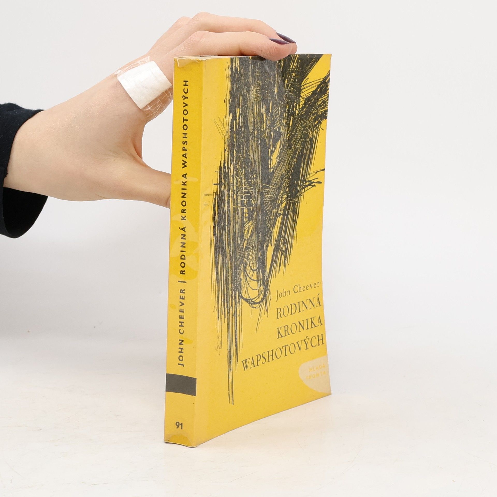 John Cheever Rodinná kronika Wapshotových