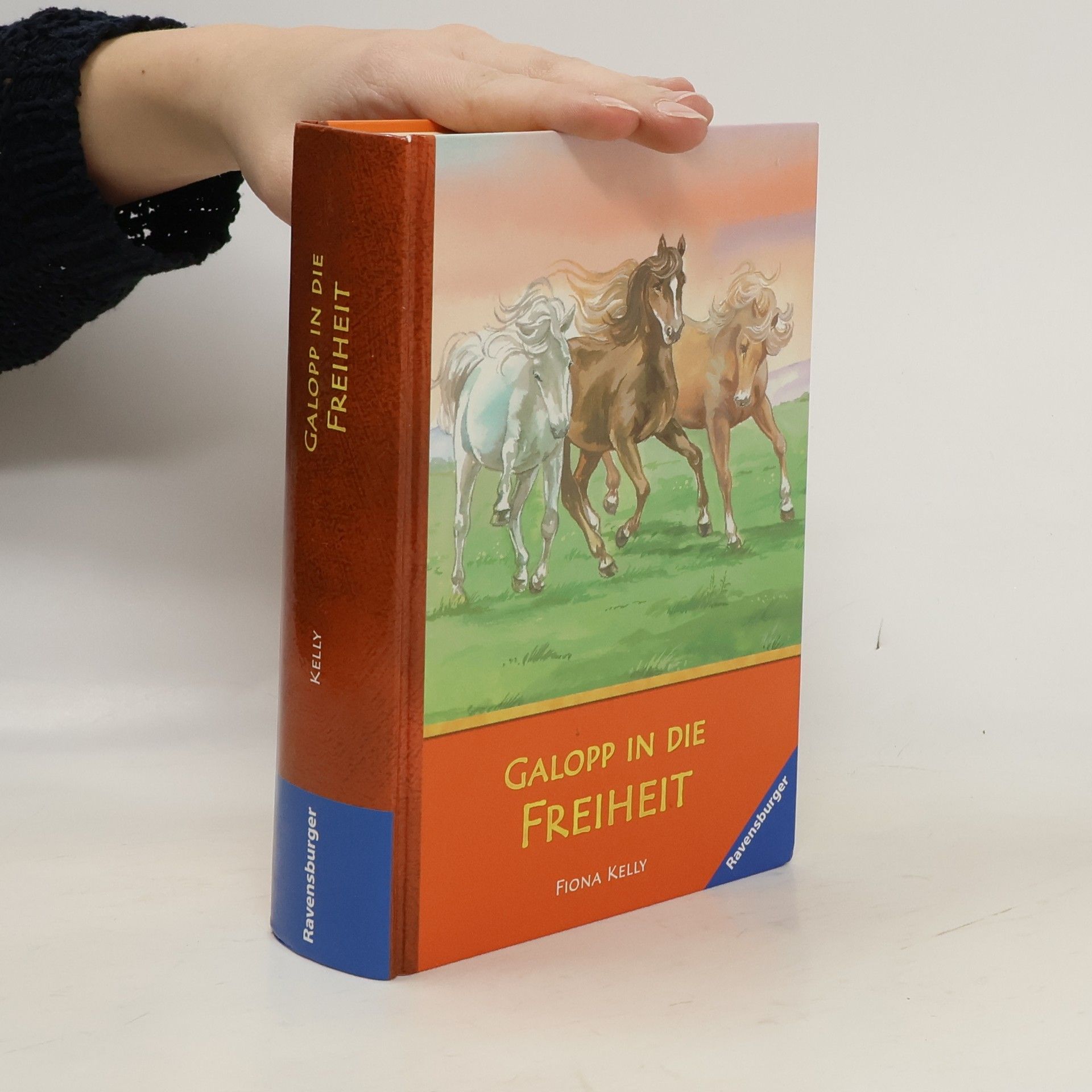 Fiona Kelly Galopp in die Freiheit