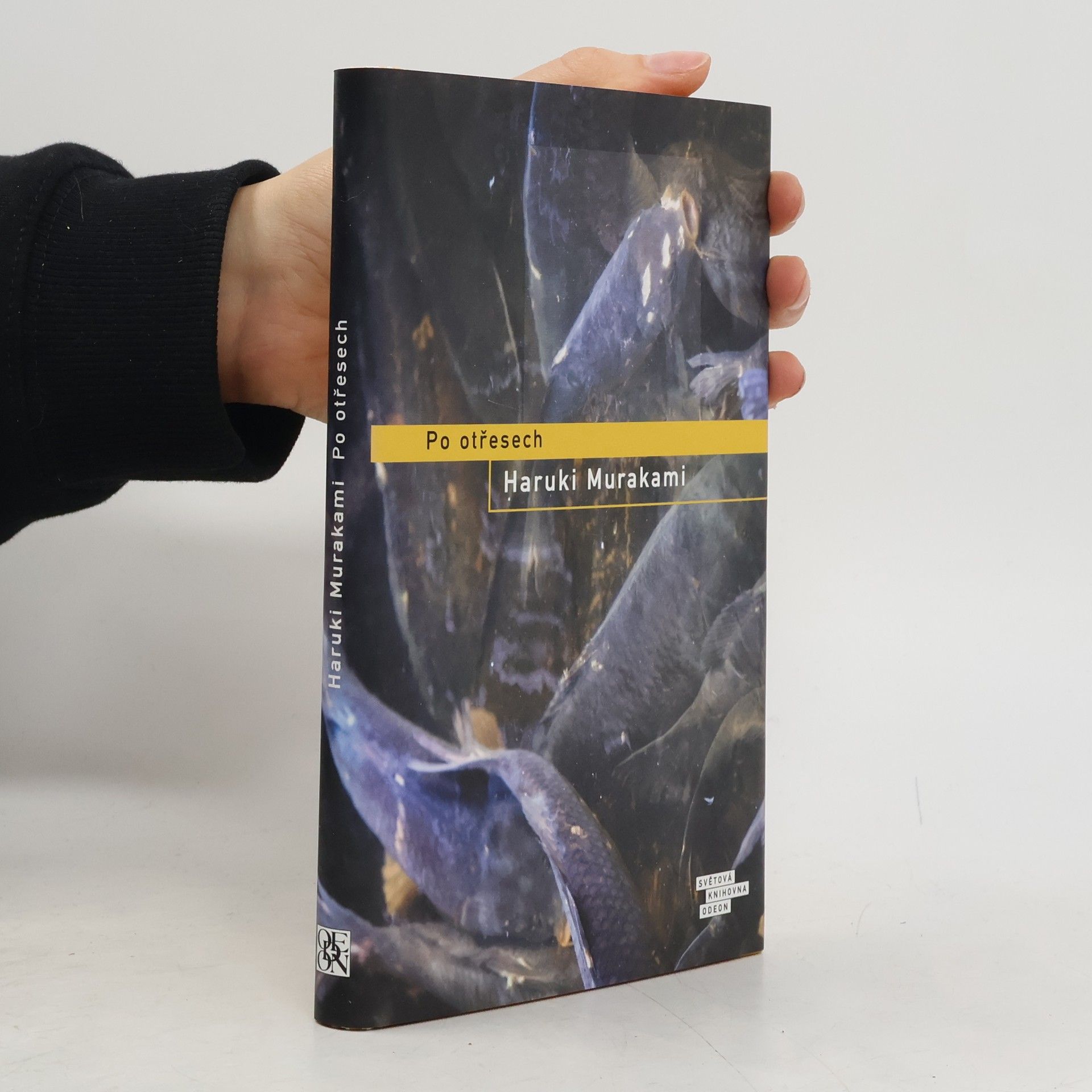 Haruki Murakami Po otřesech