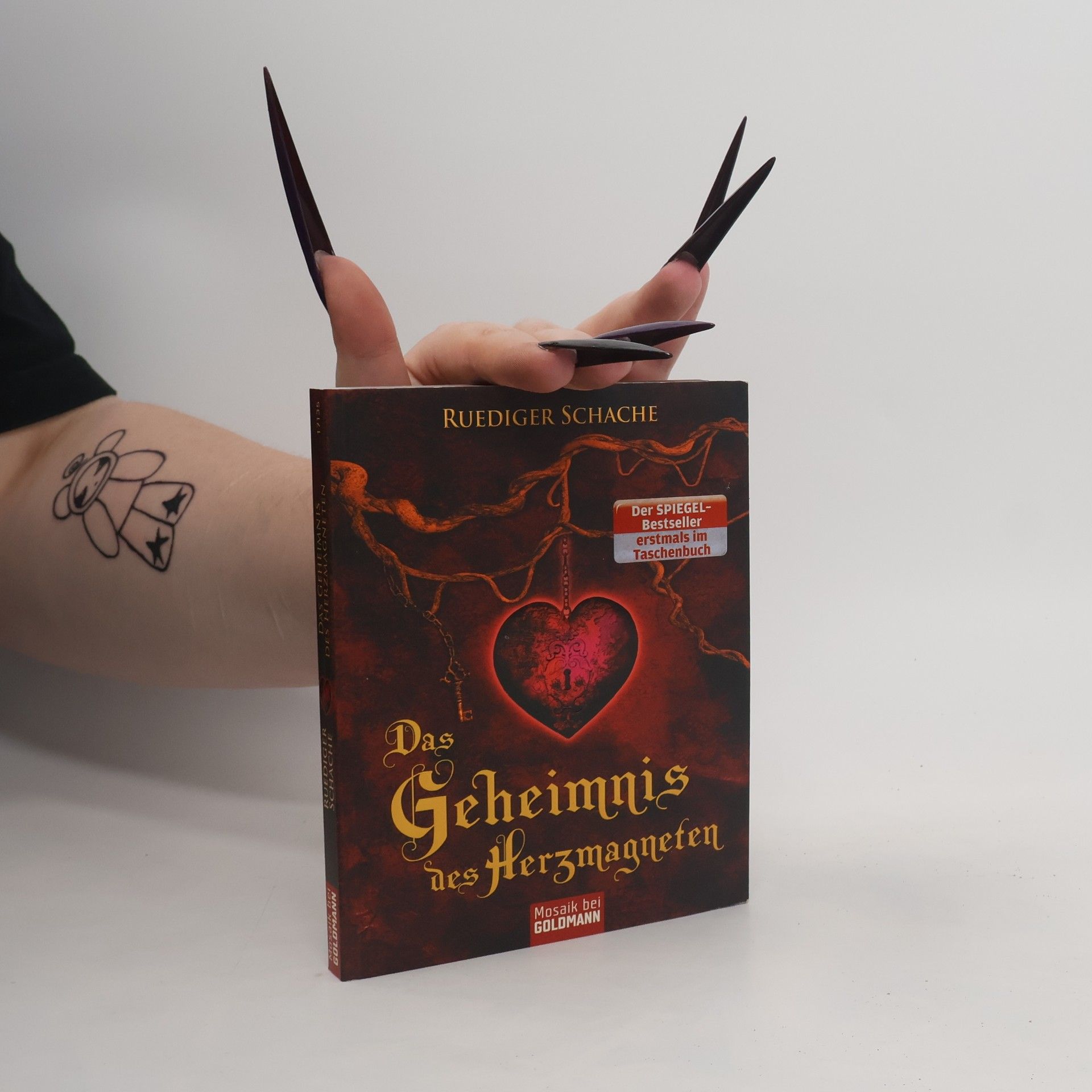 Ruediger Schache Das Geheimnis des Herzmagneten