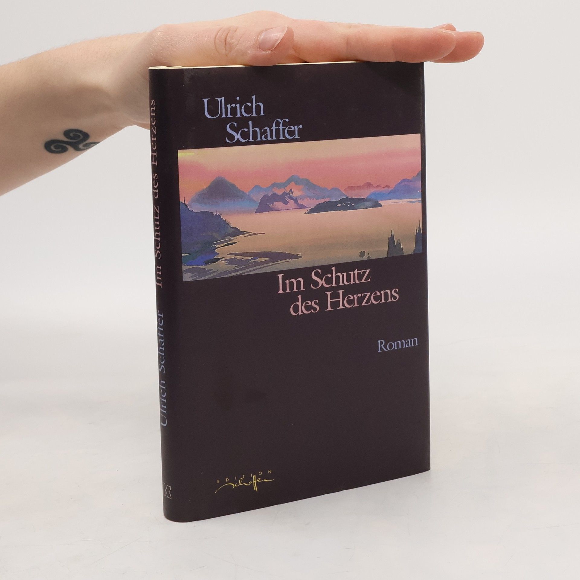 Ulrich Schaffer Im Schutz des Herzens