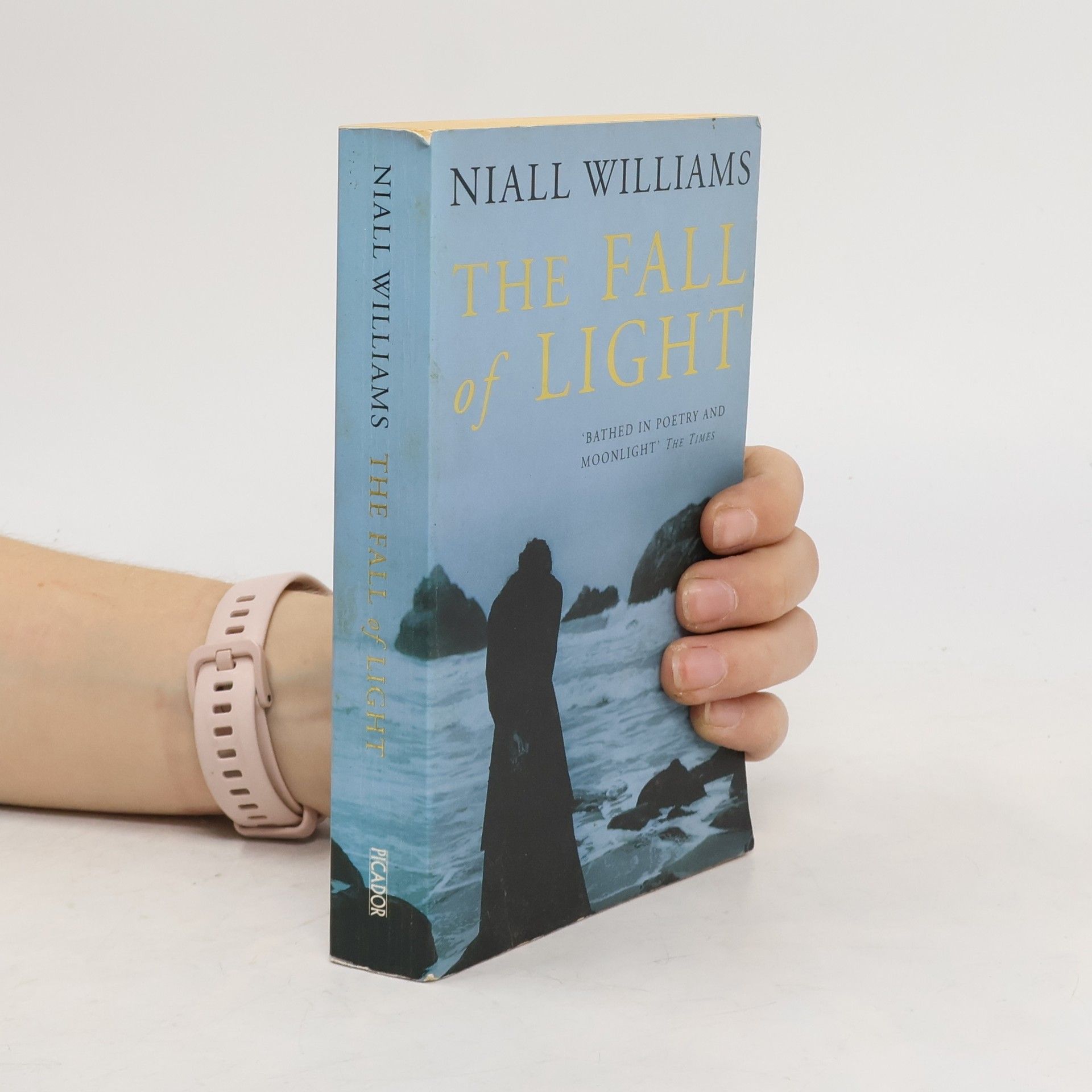 Niall Williams The Fall of Light