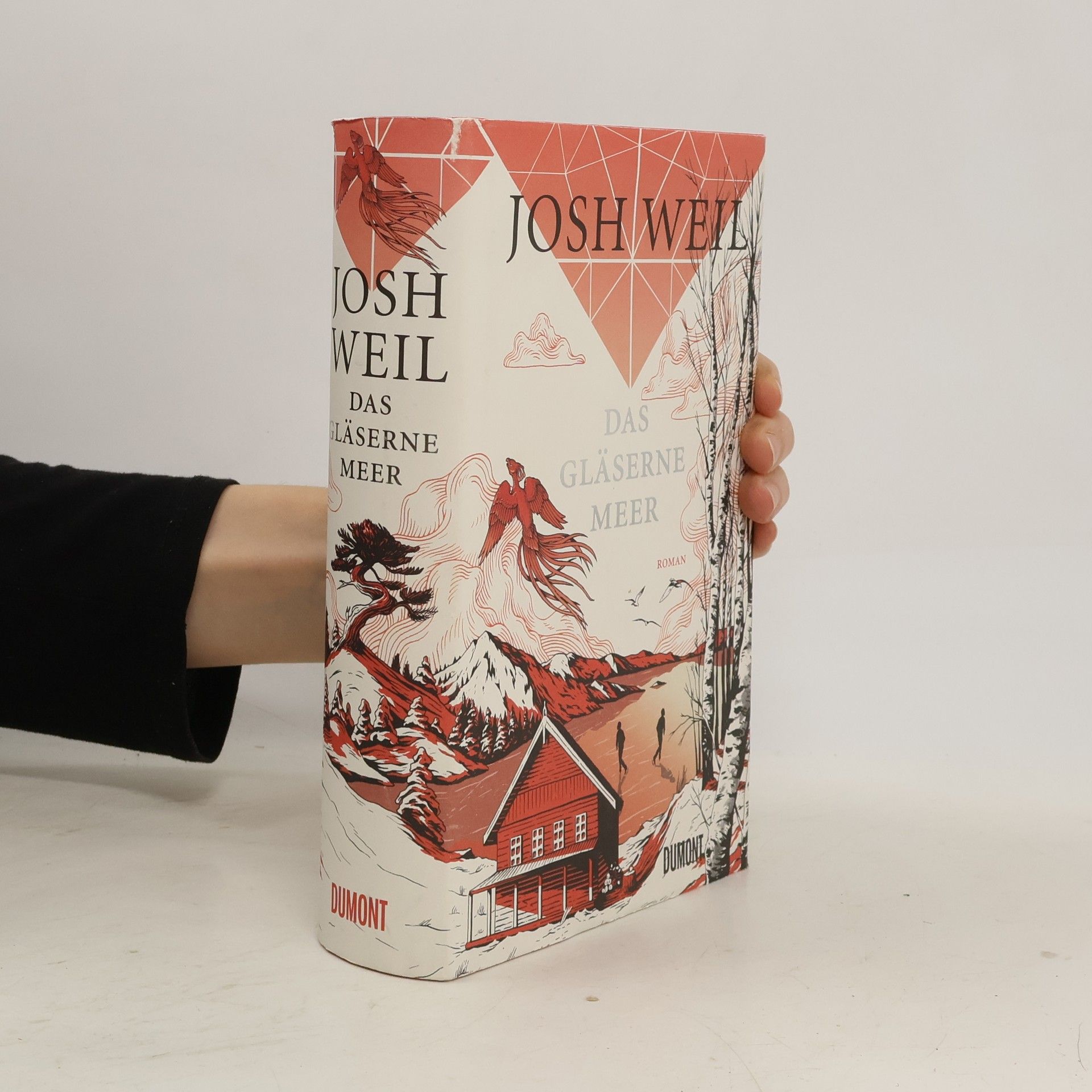 Josh Weil Das gläserne Meer