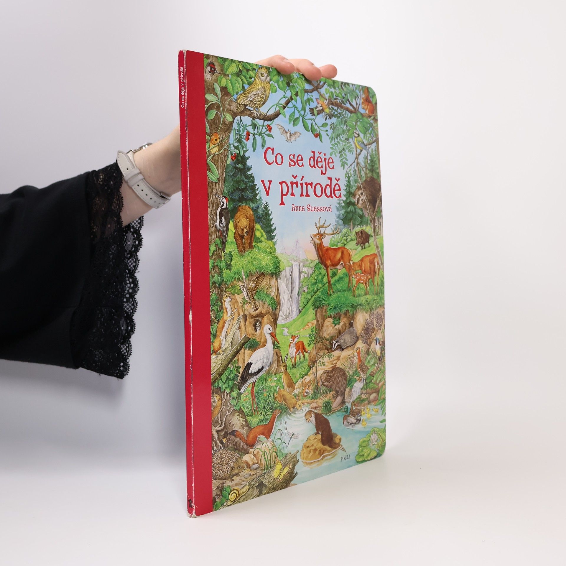 Anne Suess Co se děje v přírodě