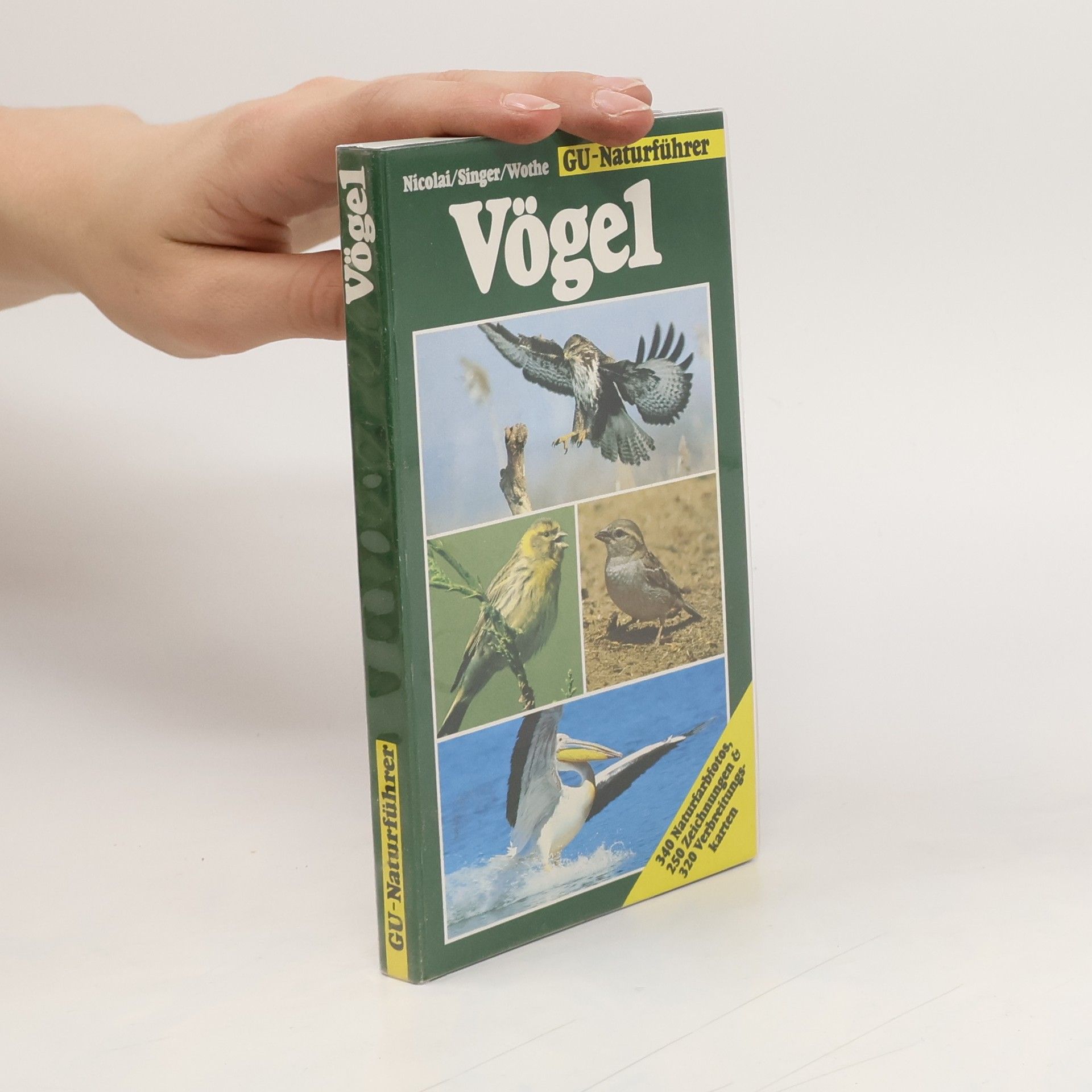 Autorenkollektiv GU-Naturführer Vögel