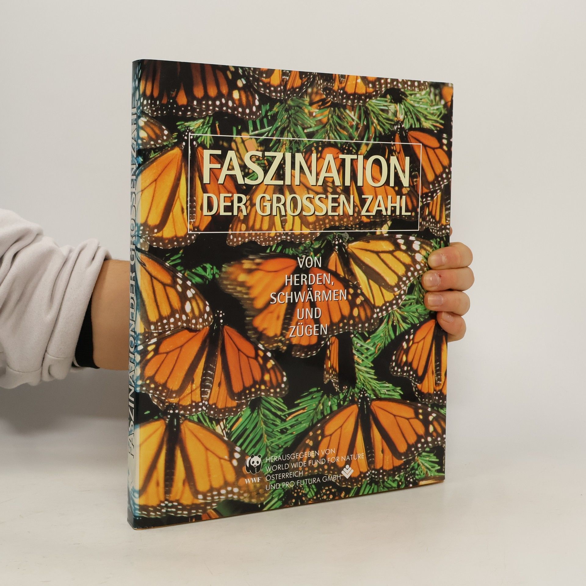 Autorenkollektiv Faszination der grossen Zahl