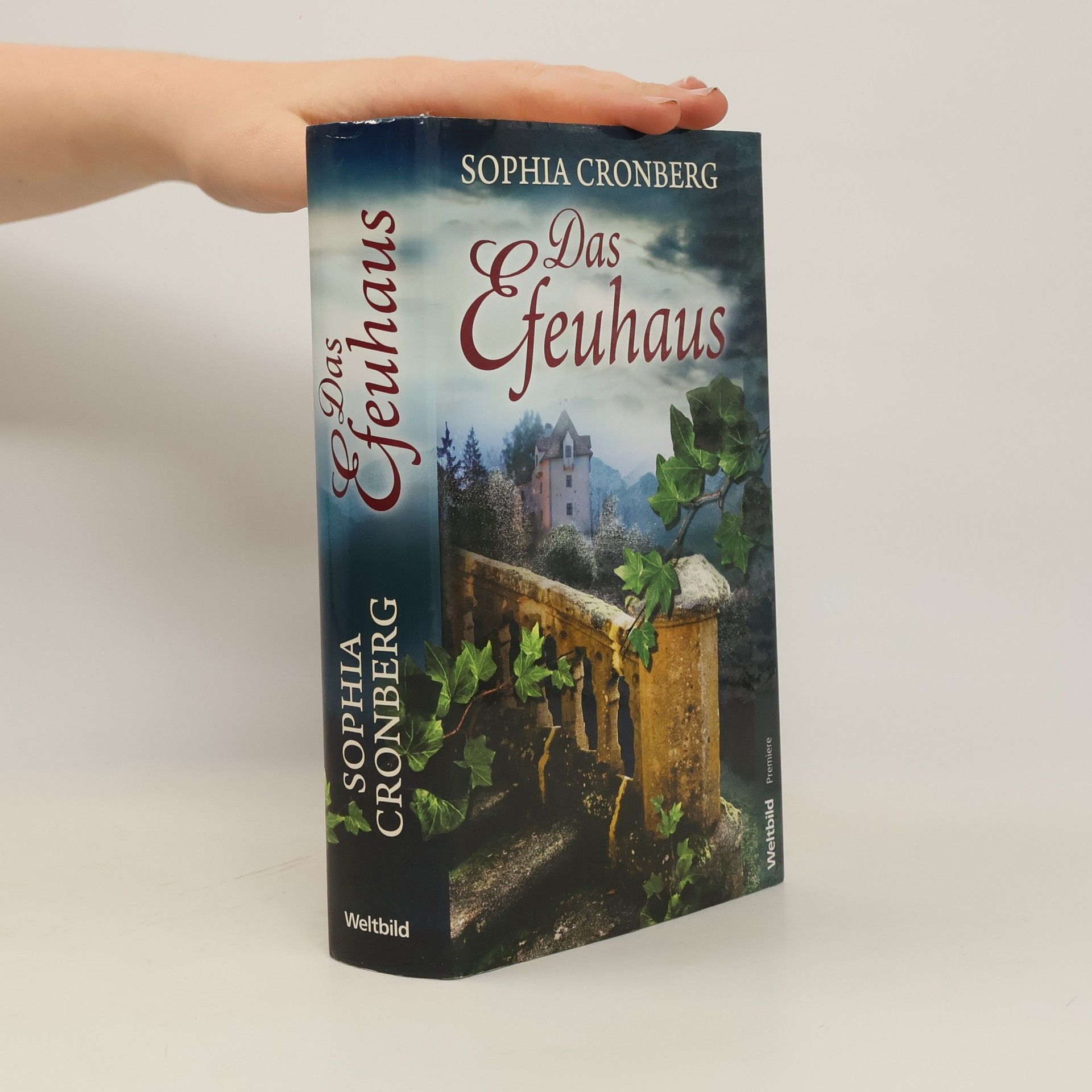 Sophia Cronberg Das Efeuhaus